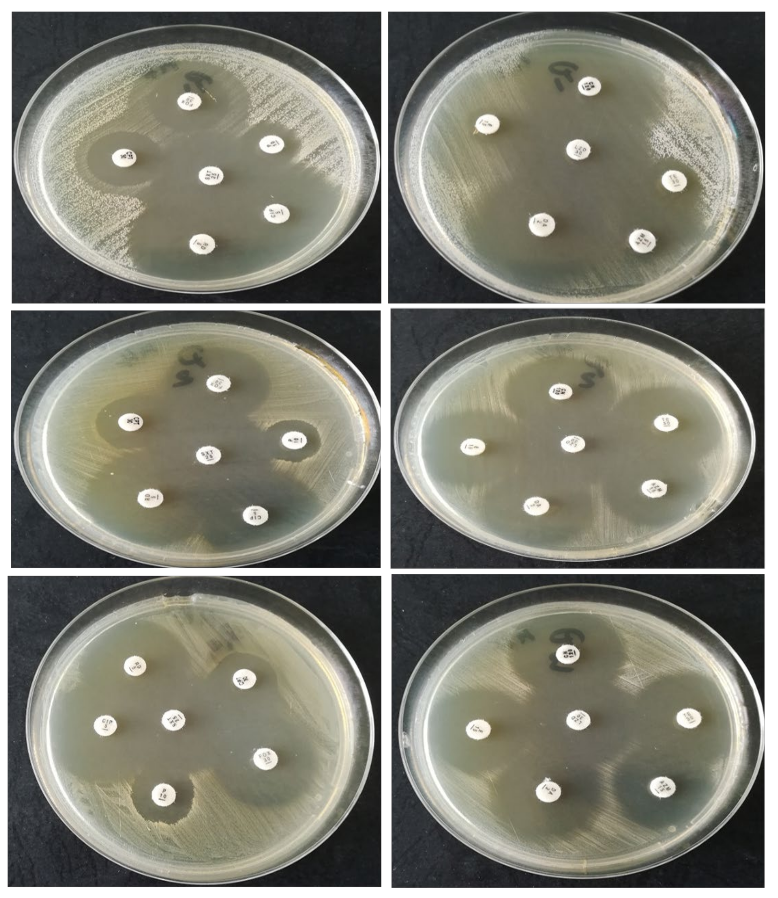 Applsci 11 09740 g003