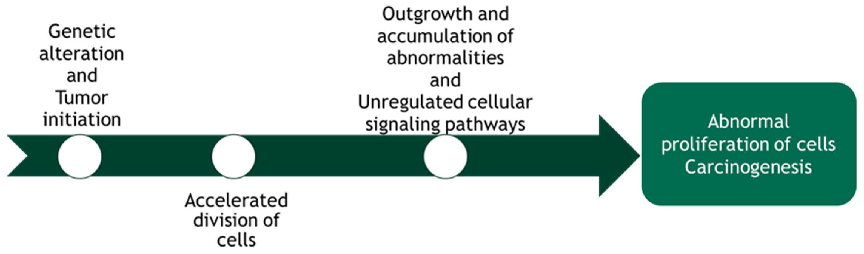 Applsci 11 09742 g002