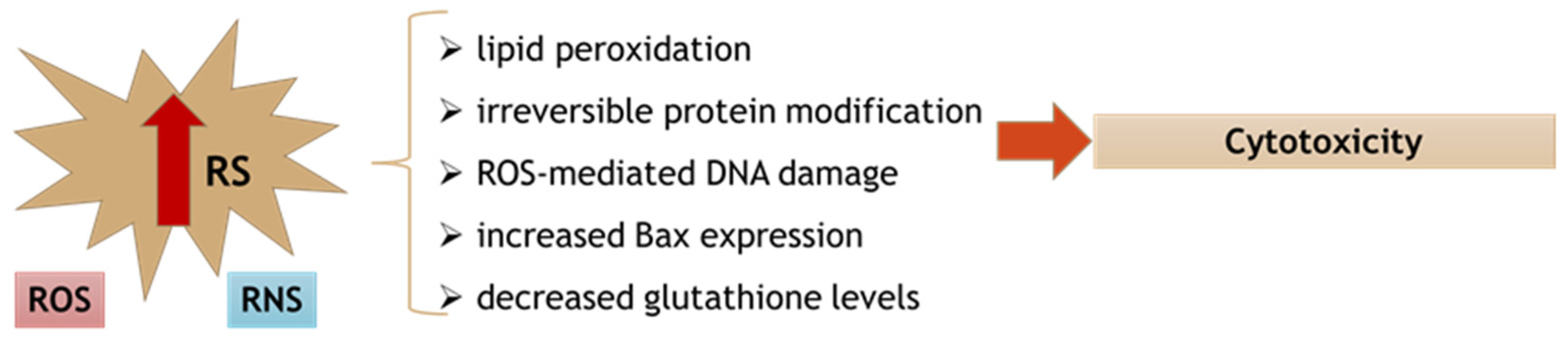 Applsci 11 09742 g003