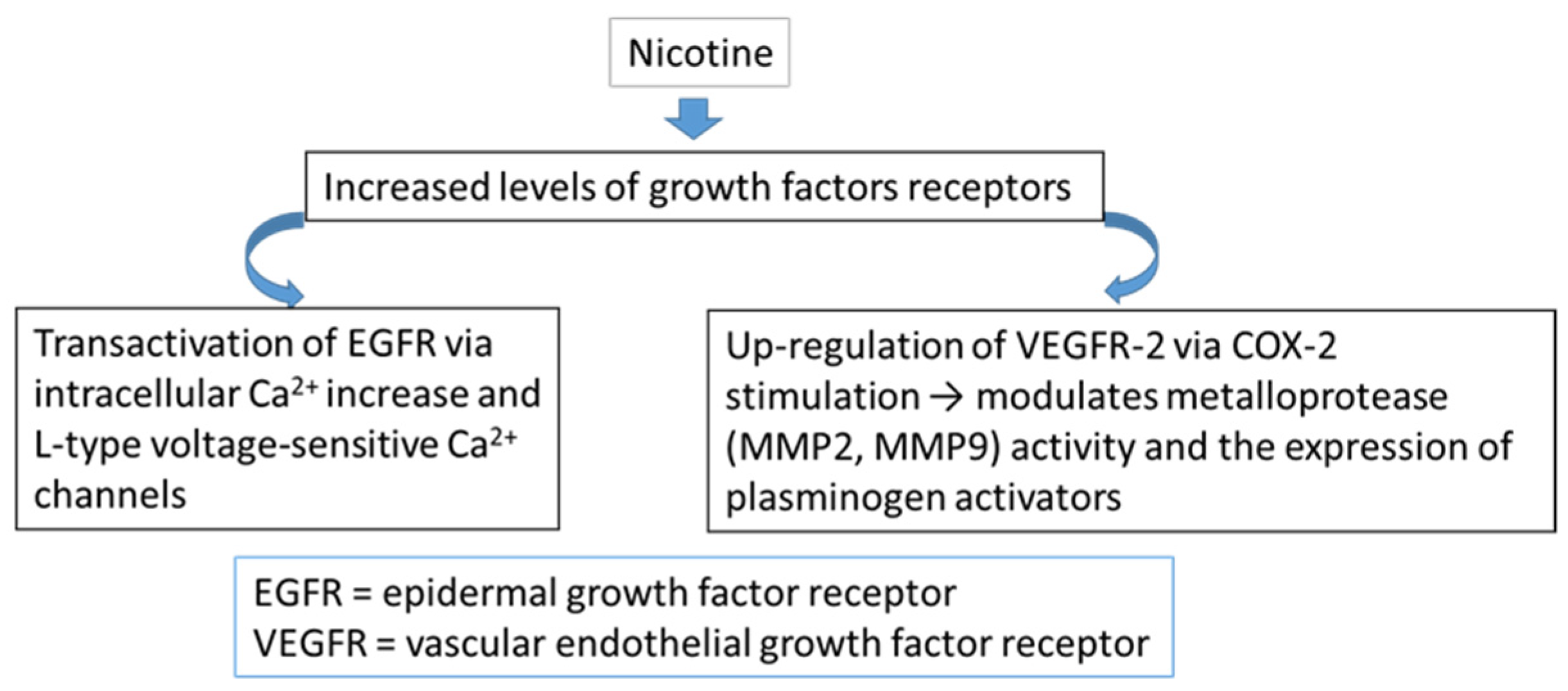 Applsci 11 09742 g005