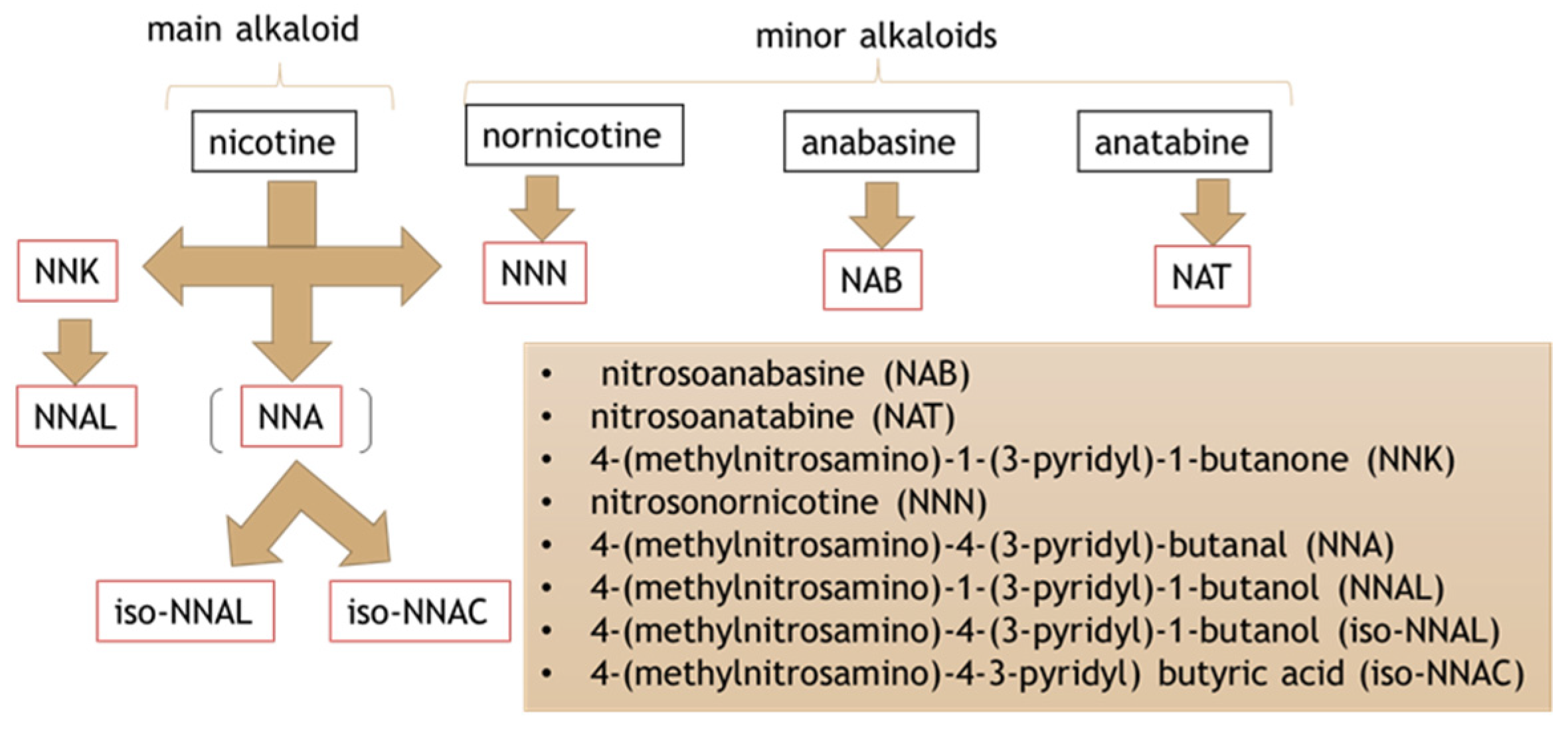 Applsci 11 09742 g006