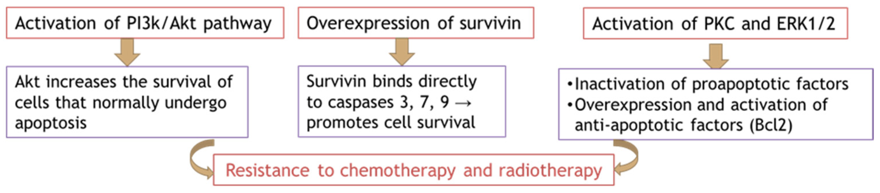 Applsci 11 09742 g007