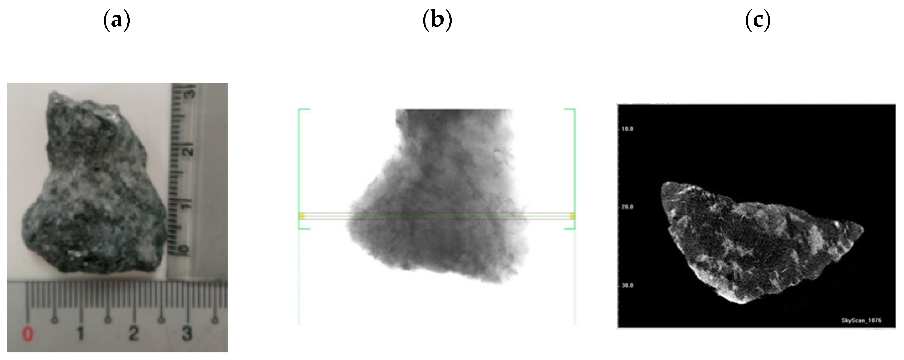 Applsci 11 09750 g002
