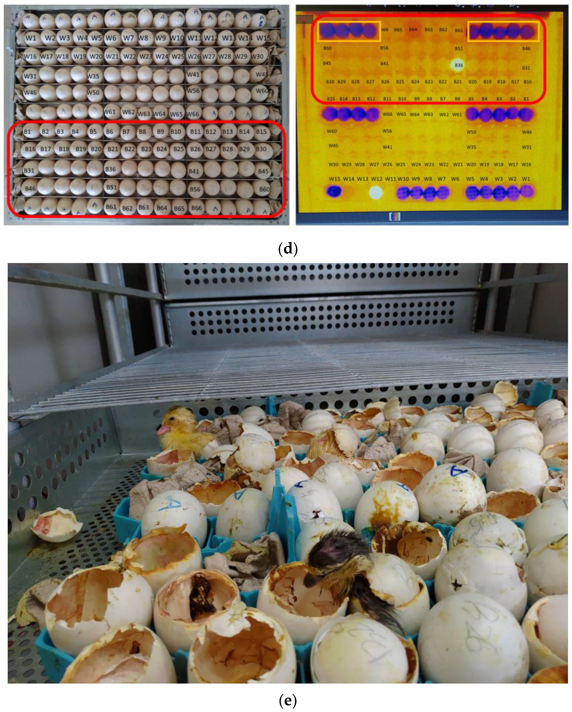 Applsci 11 09763 g002b