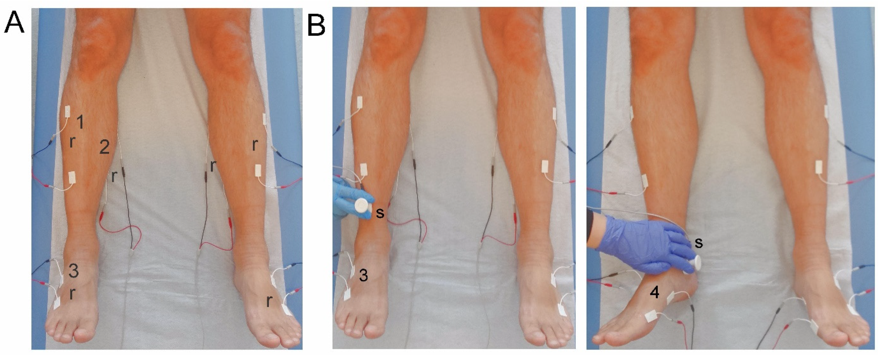 Applsci 11 09764 g002