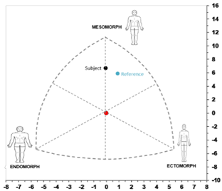 Applsci 11 09781 i005