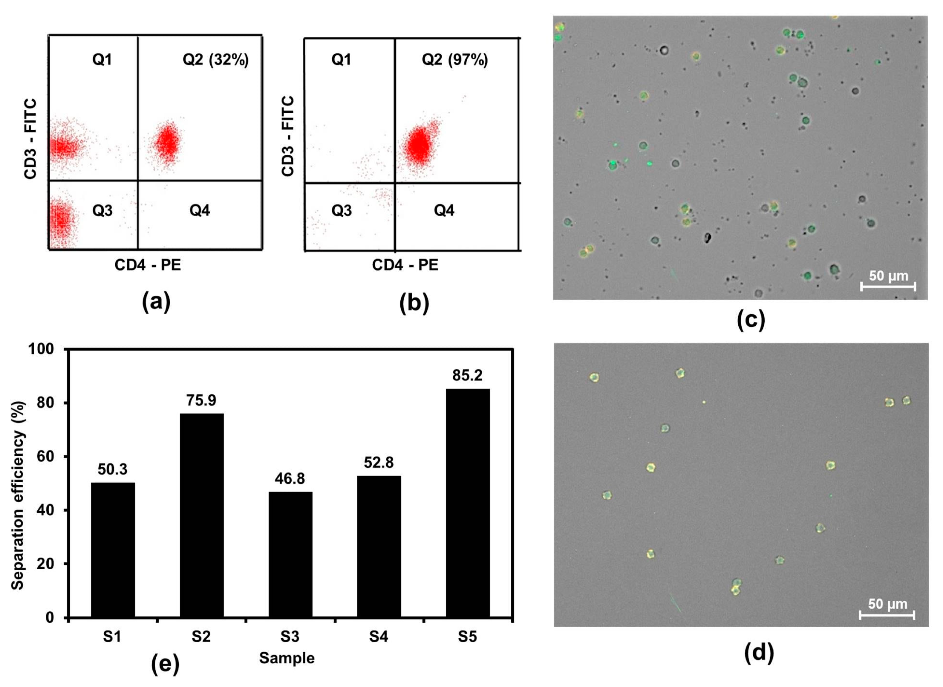 Applsci 11 09786 g001
