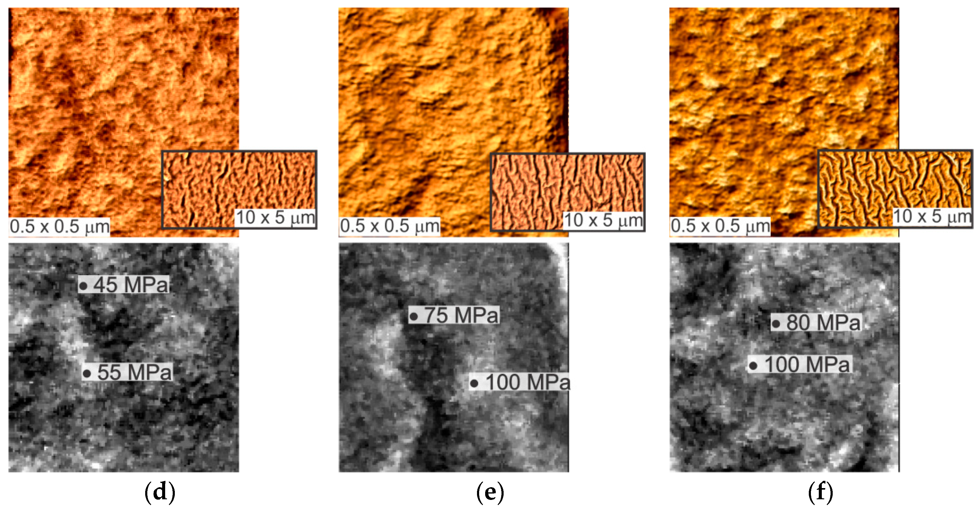 Applsci 11 09793 g002b