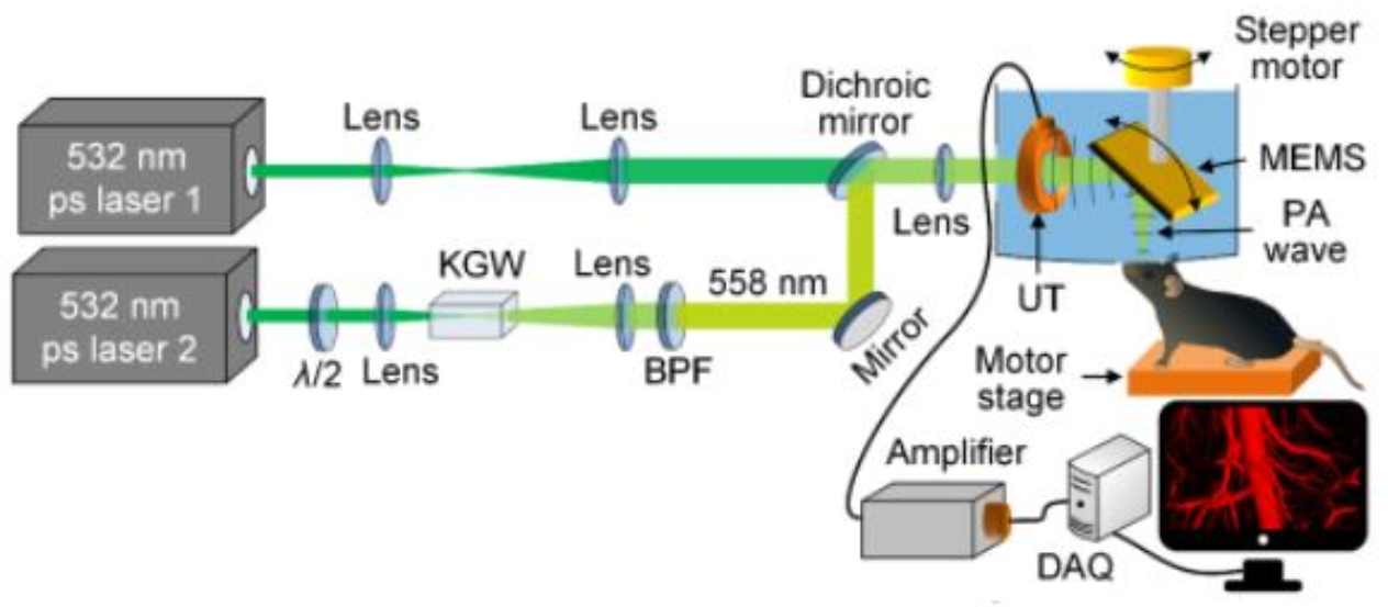 Applsci 11 09804 g002