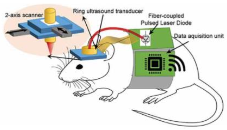 Applsci 11 09804 g003