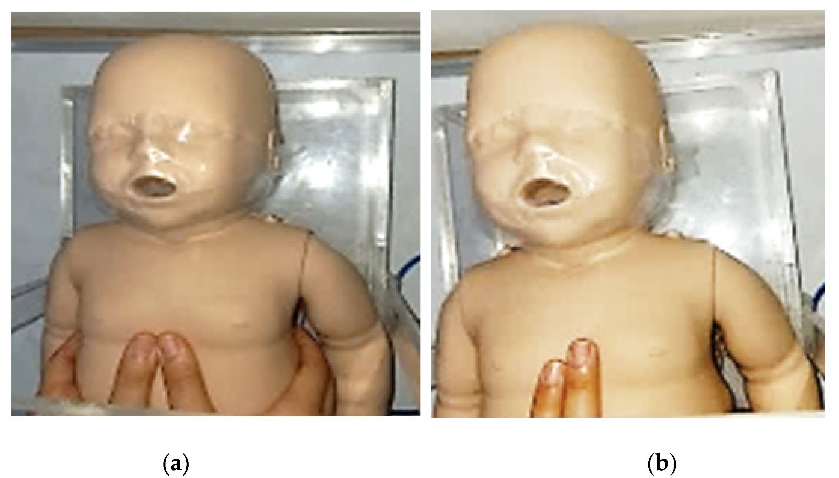 Applsci 11 09813 g001