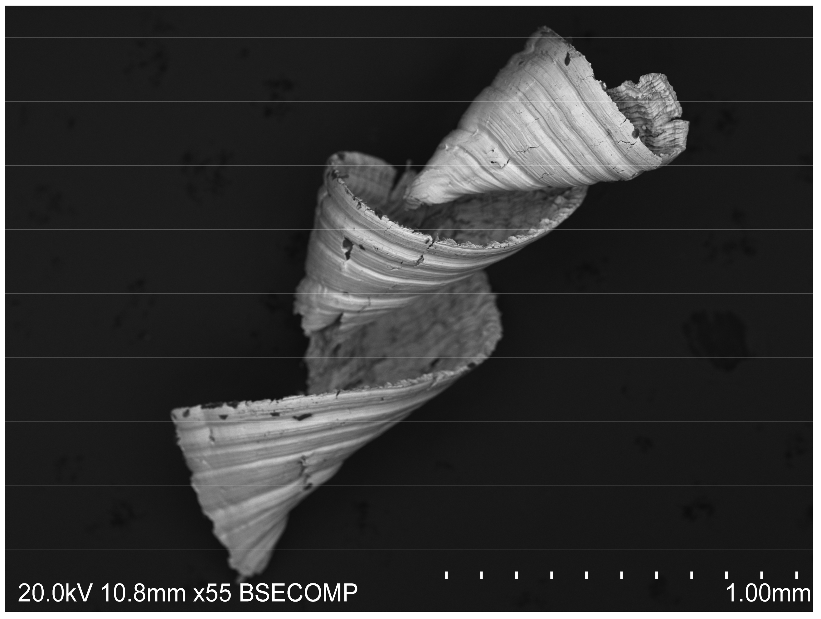 Applsci 11 09814 g002 Applsci 11 09814 g002