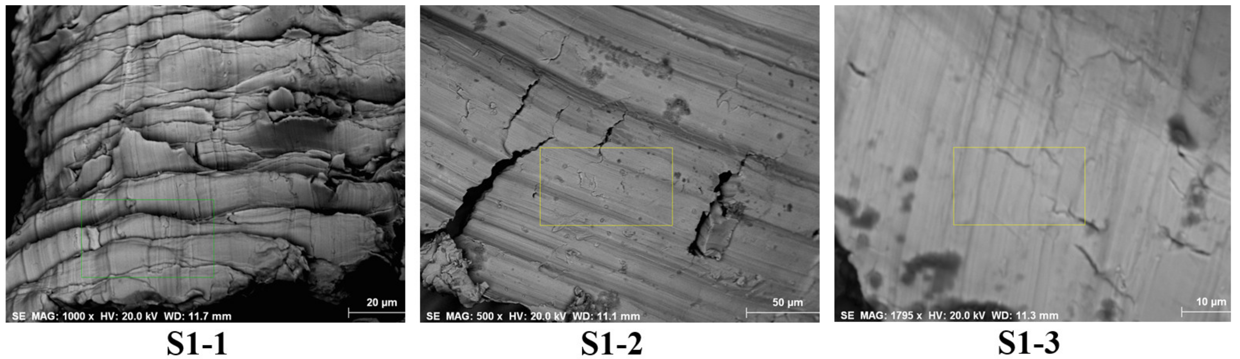 Applsci 11 09814 g003 Applsci 11 09814 g003