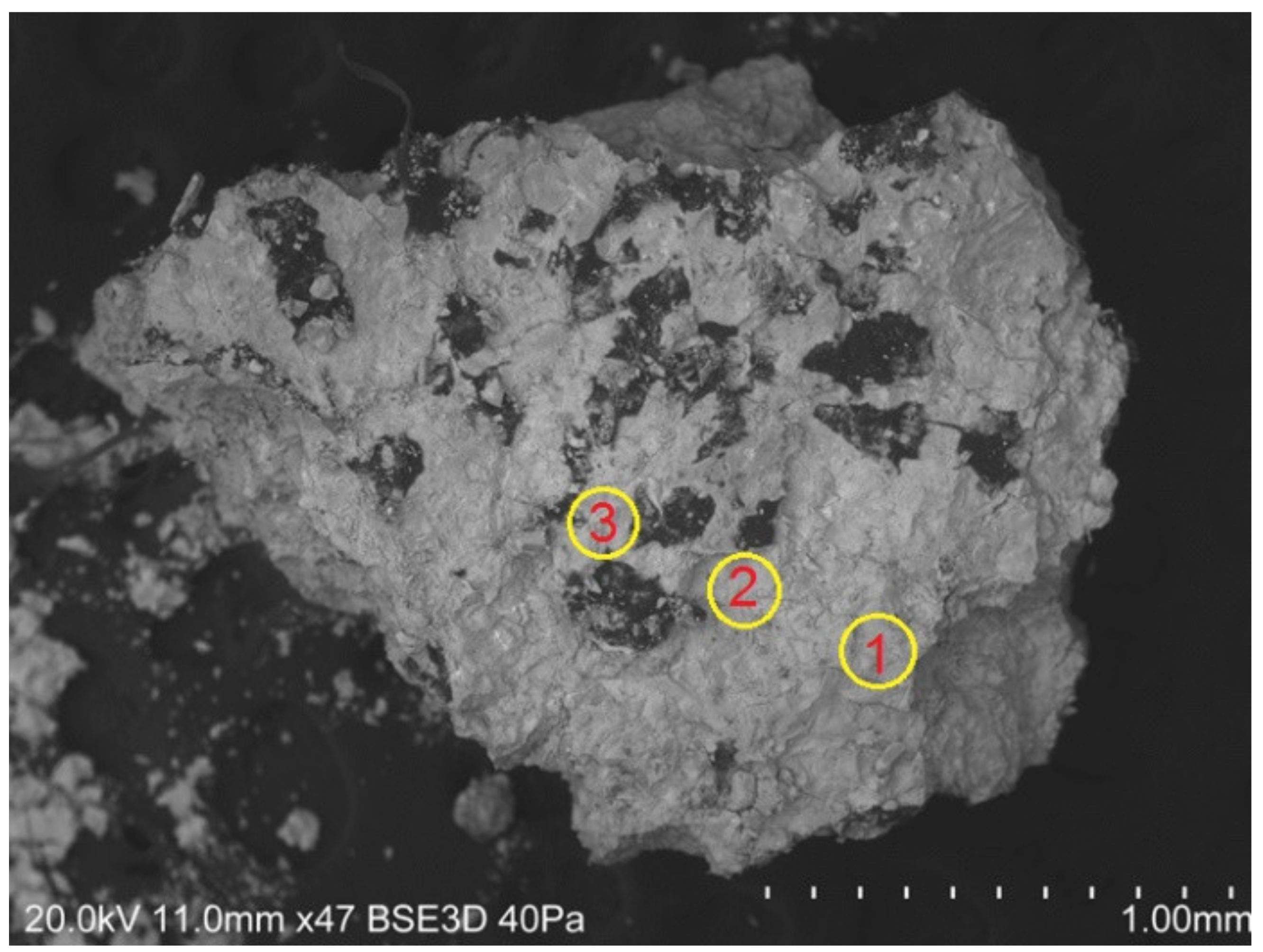 Applsci 11 09814 g005 Applsci 11 09814 g005