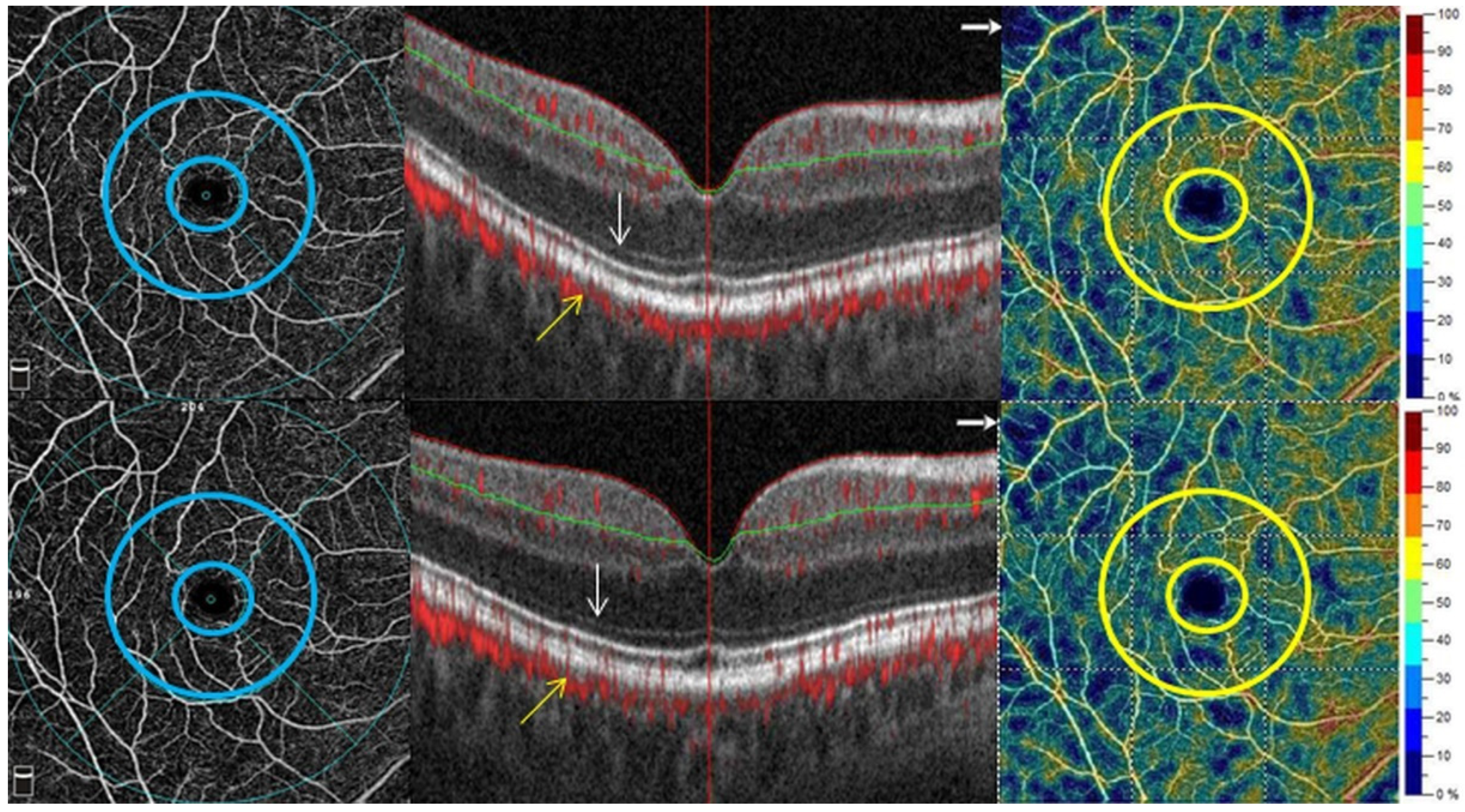 Applsci 11 09837 g001 Applsci 11 09837 g001