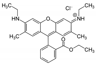 Applsci 11 09838 i002