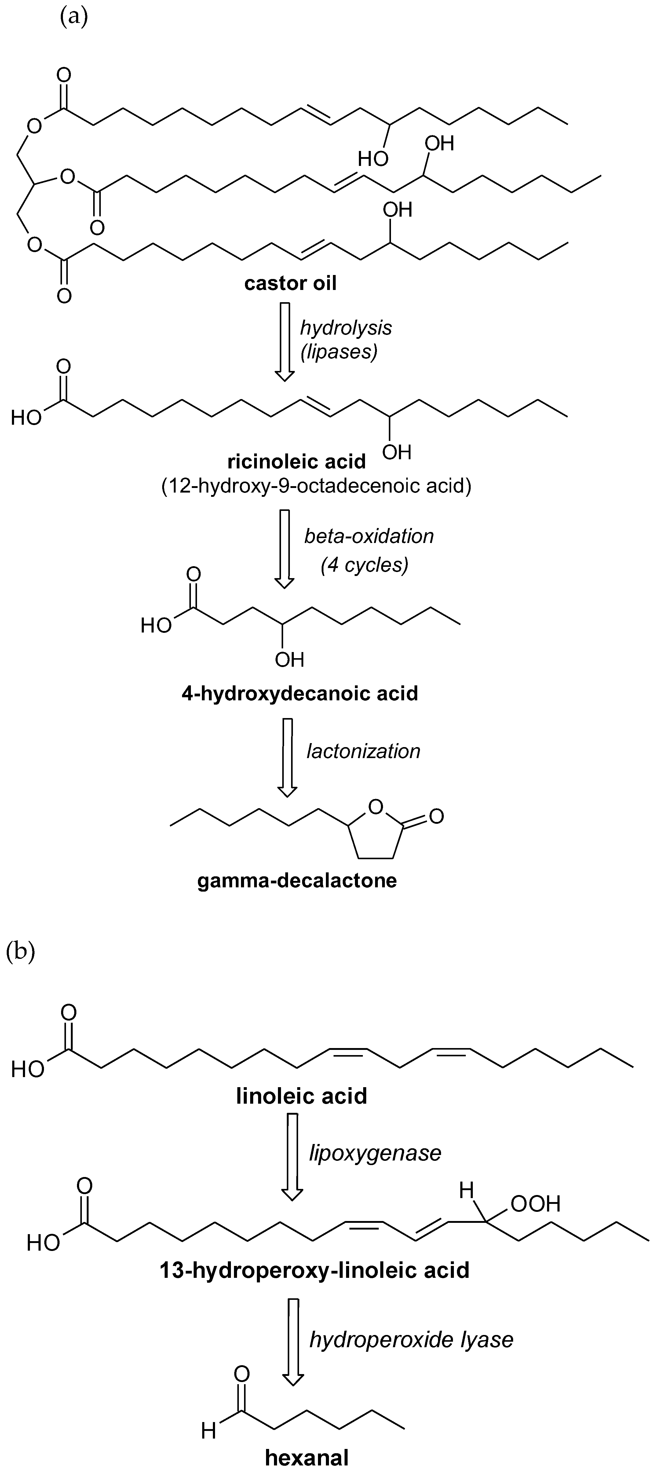 Applsci 11 09843 sch001