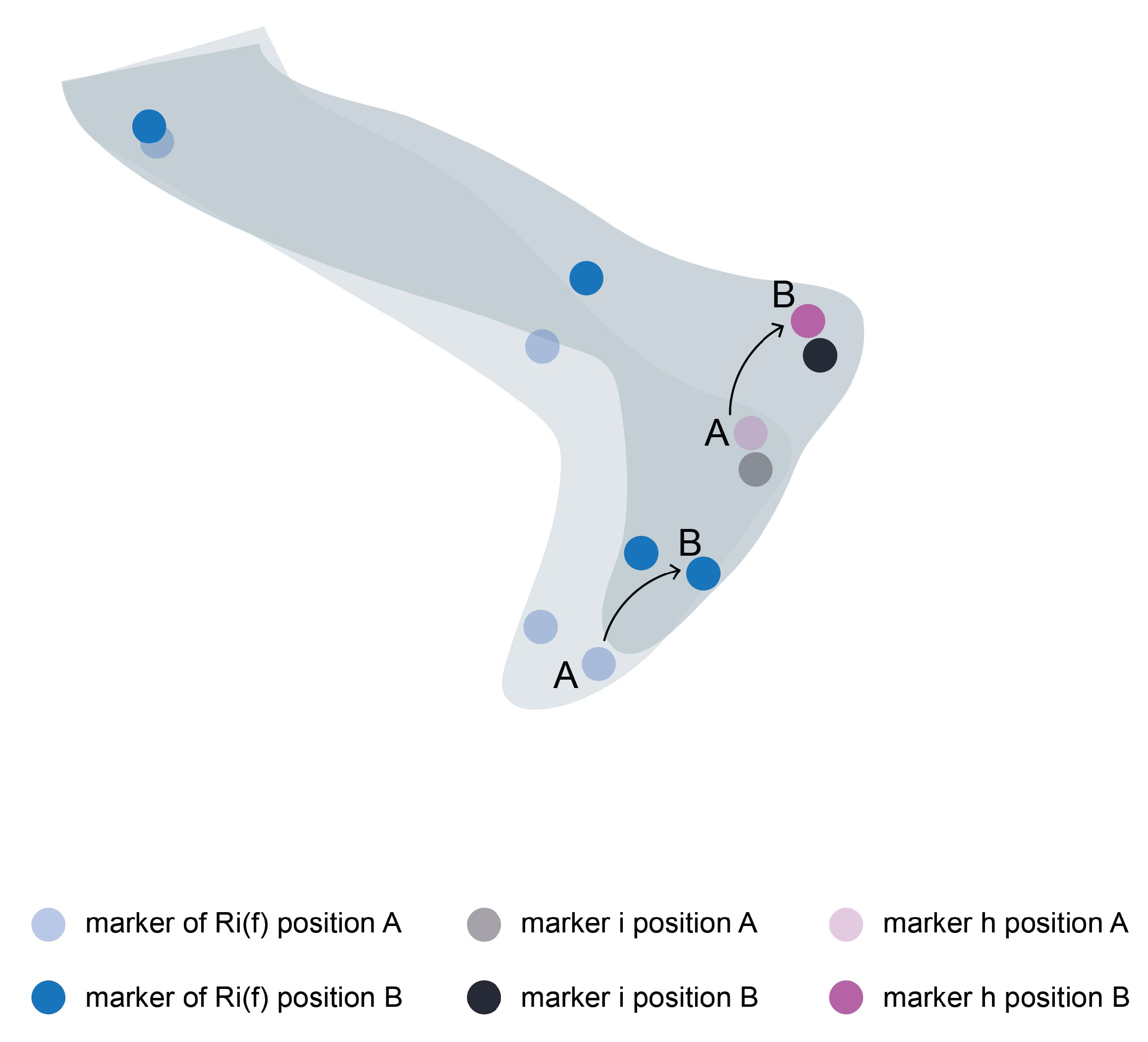 Applsci 11 09847 g003