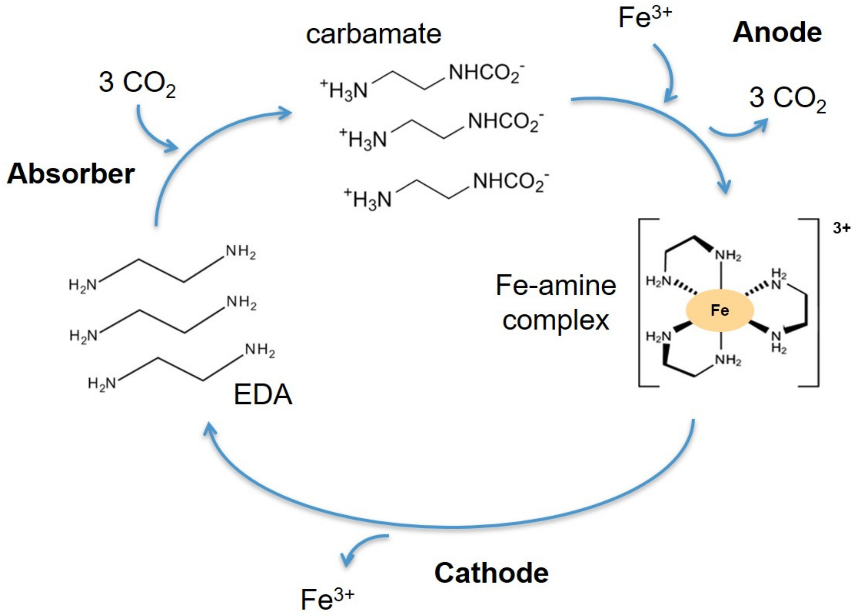 Applsci 11 09851 g004