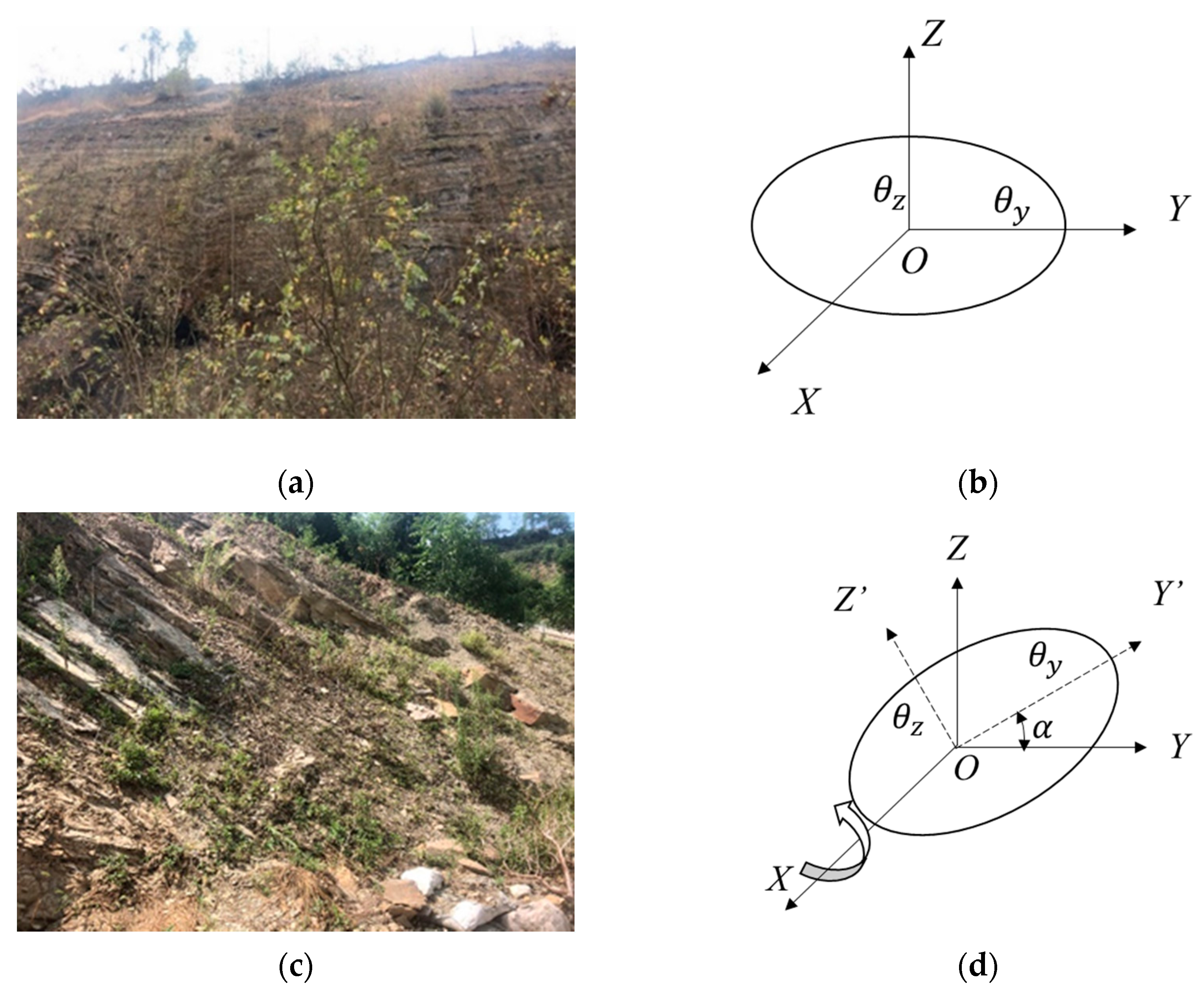 Applsci 11 09852 g003