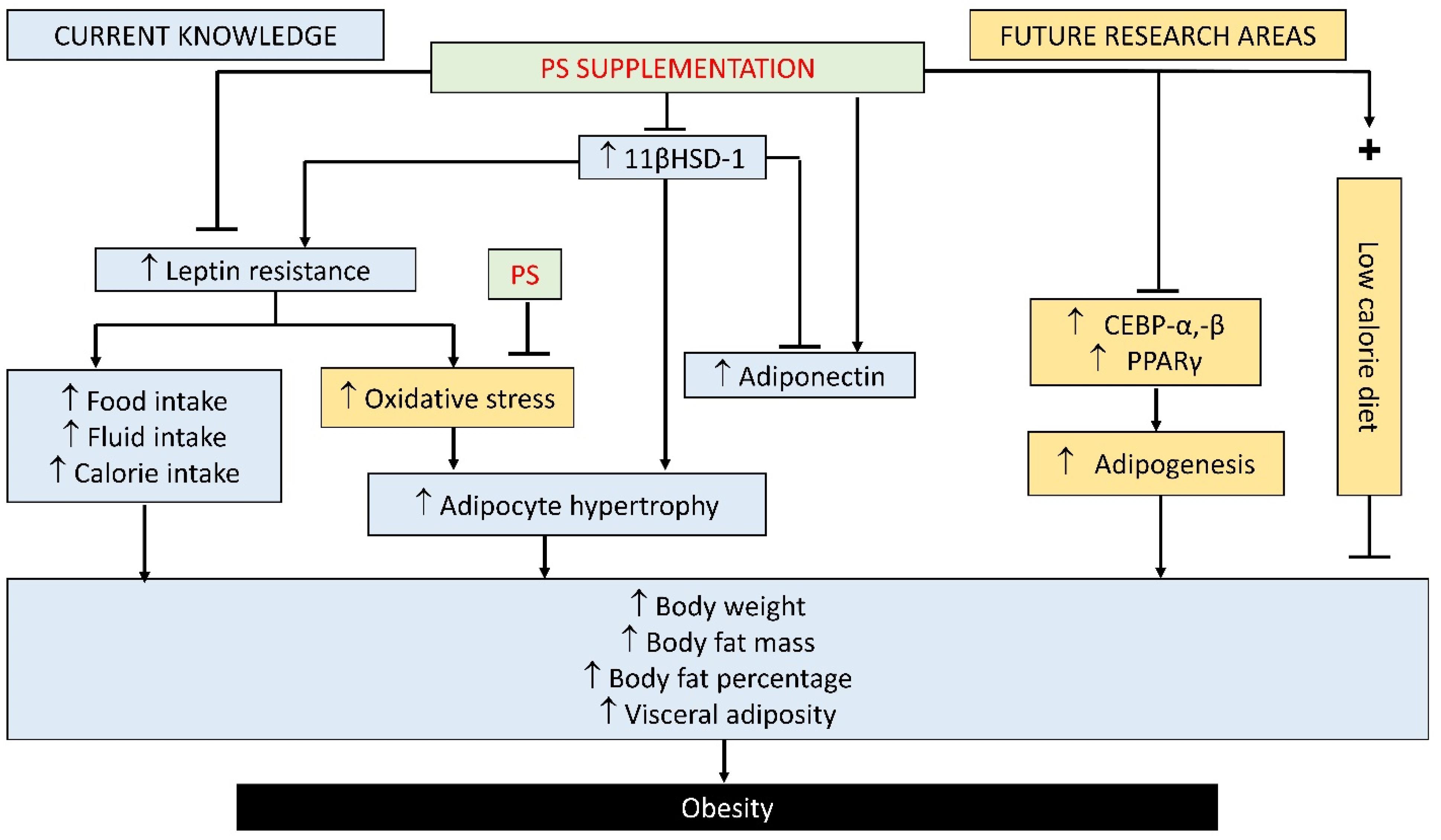 Applsci 11 09860 g002