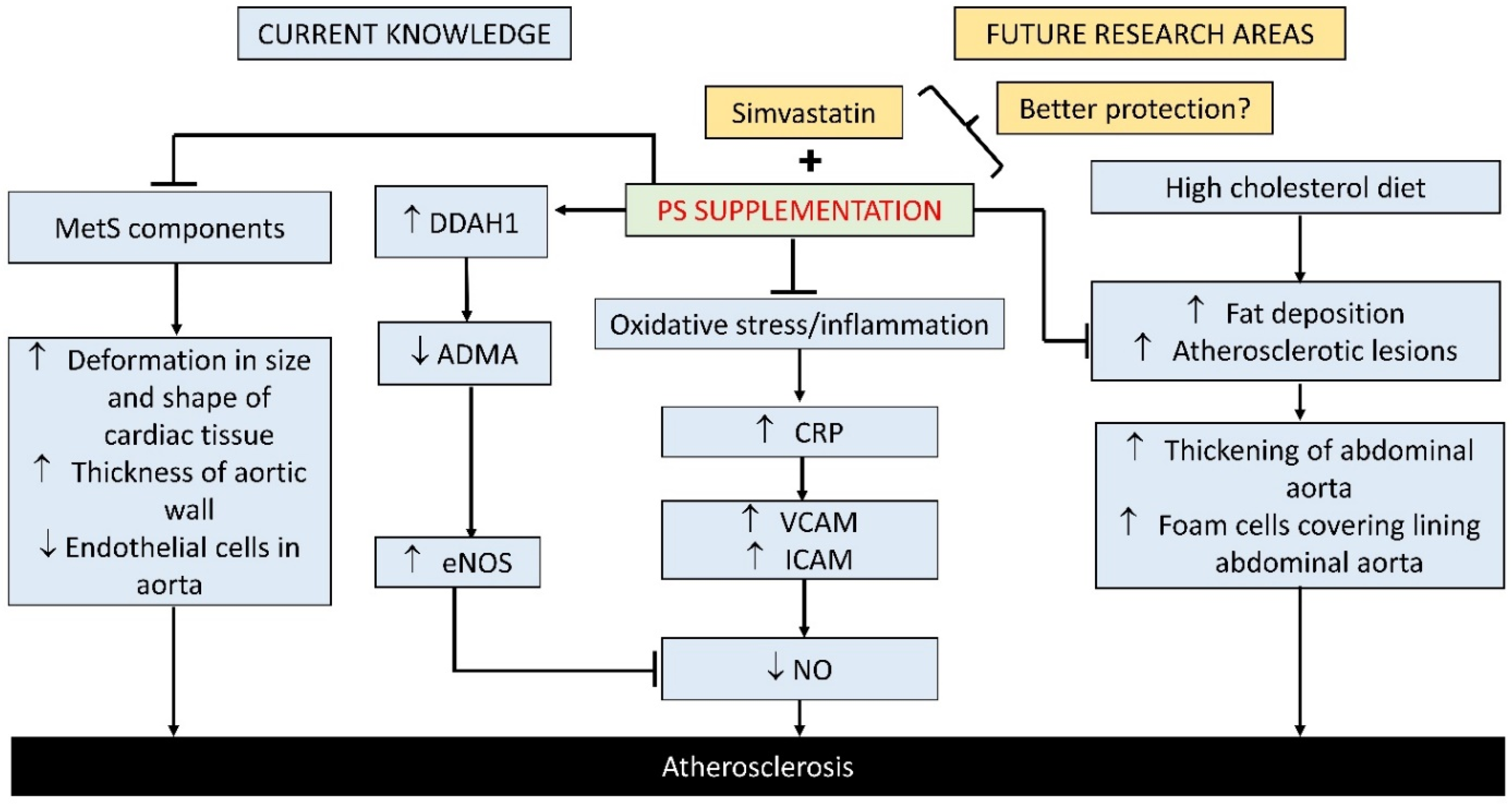 Applsci 11 09860 g006
