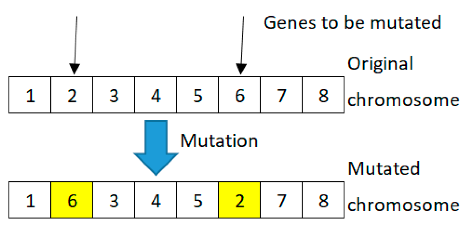 Applsci 11 09868 g004