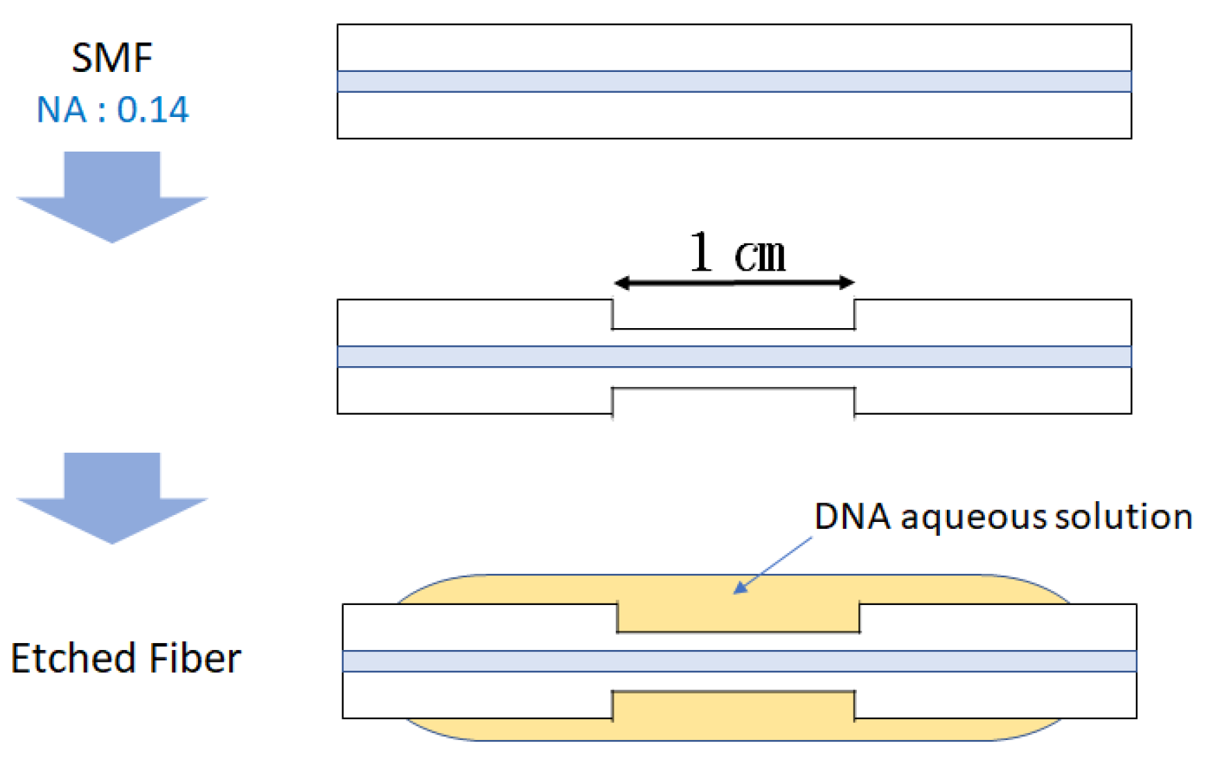 Applsci 11 09871 g001