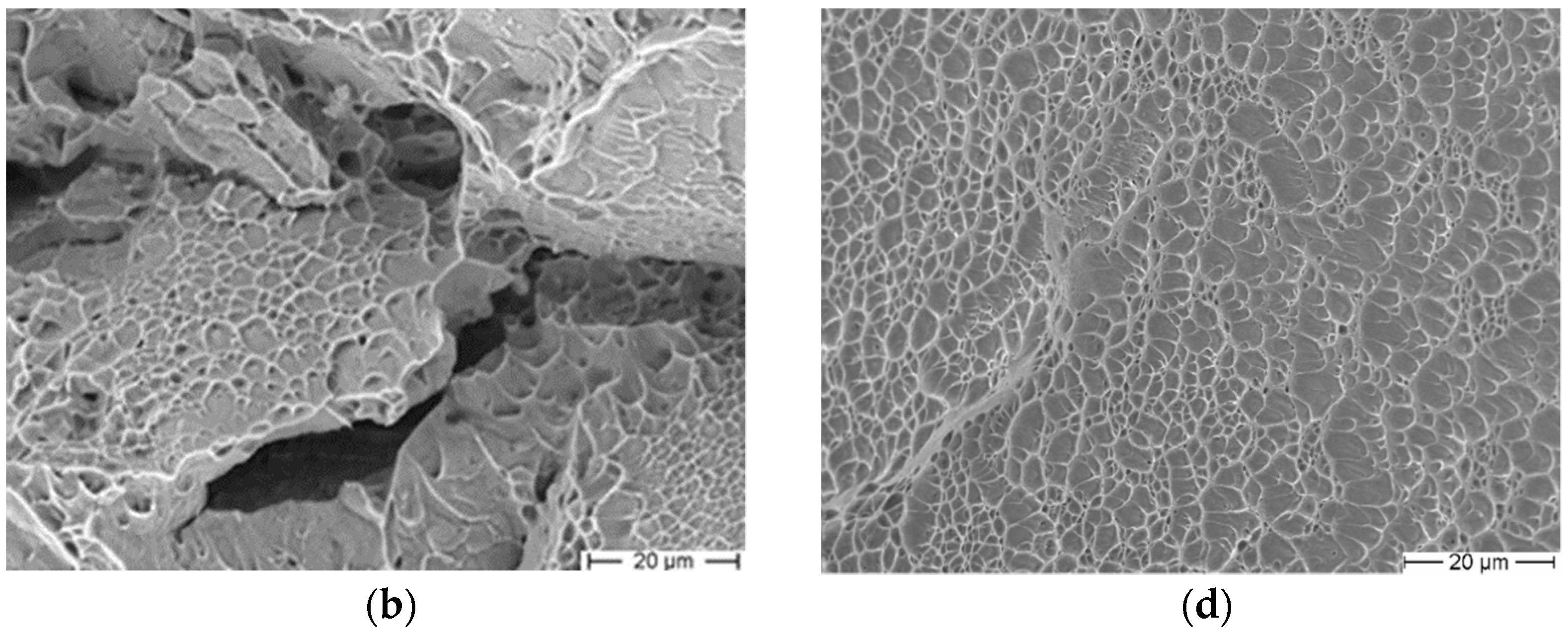 Applsci 11 09875 g009b