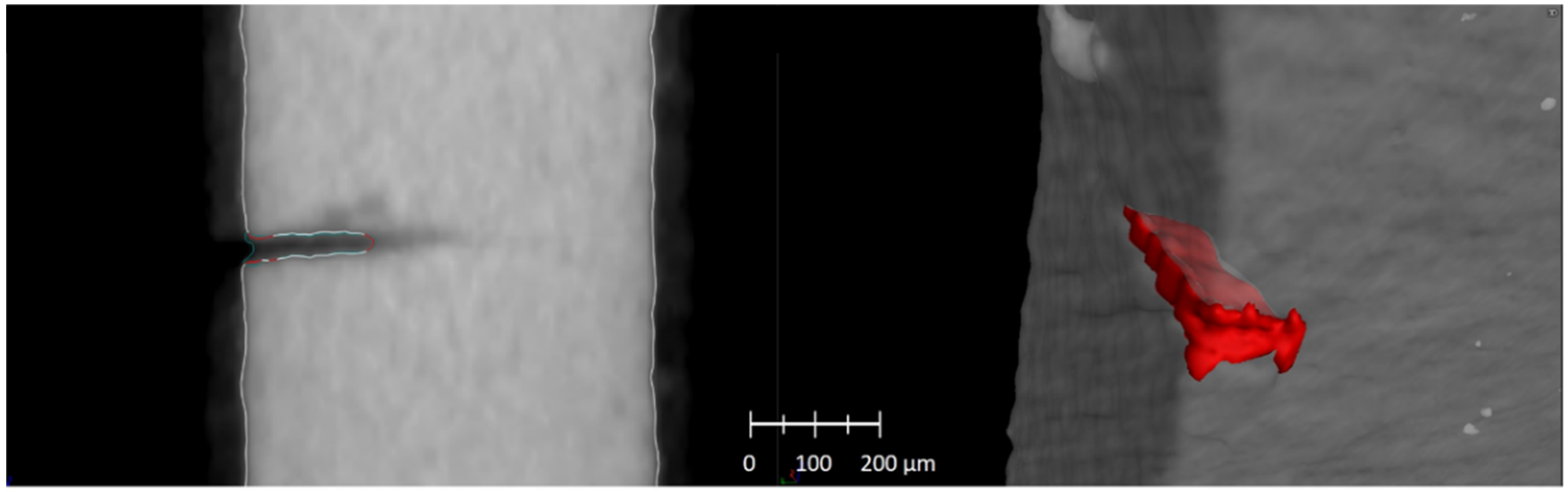 Applsci 11 09875 g010