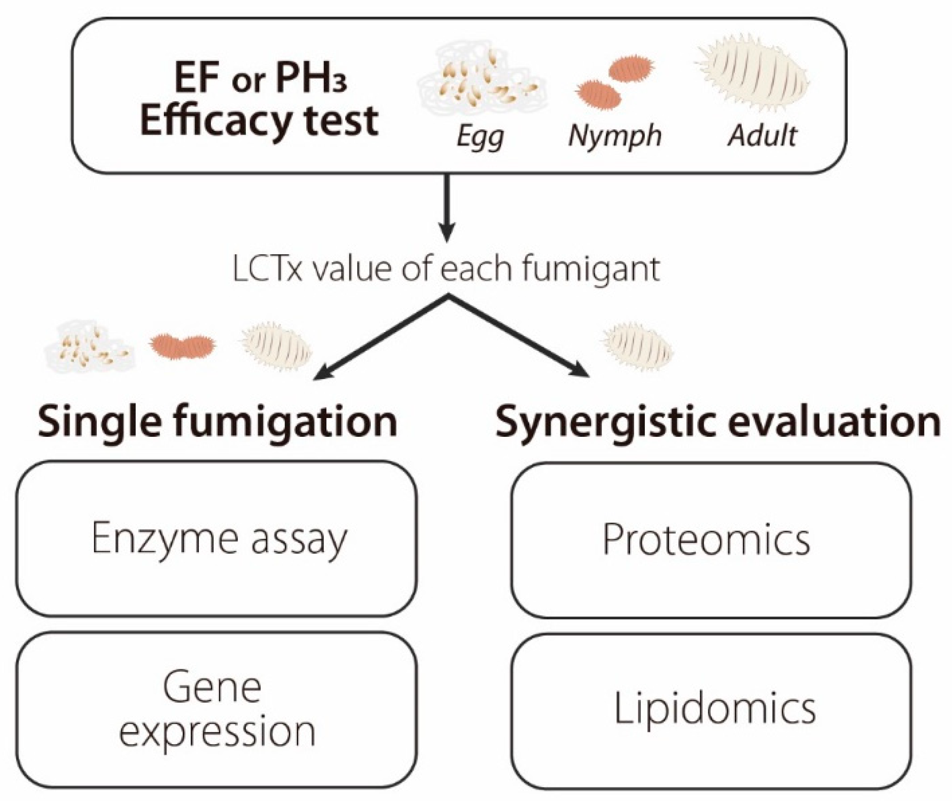 Applsci 11 09877 g001