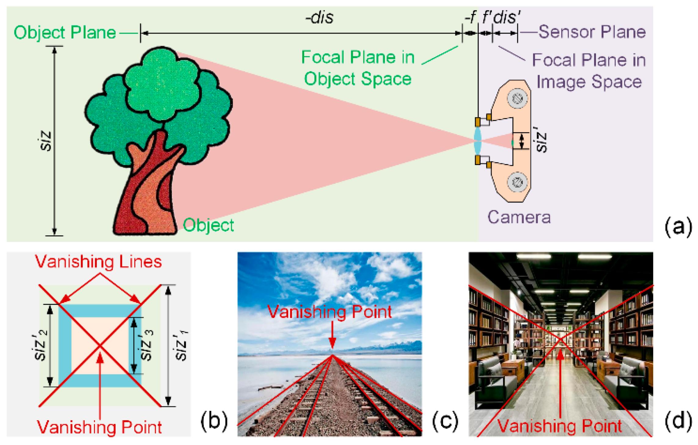 Applsci 11 09889 g001
