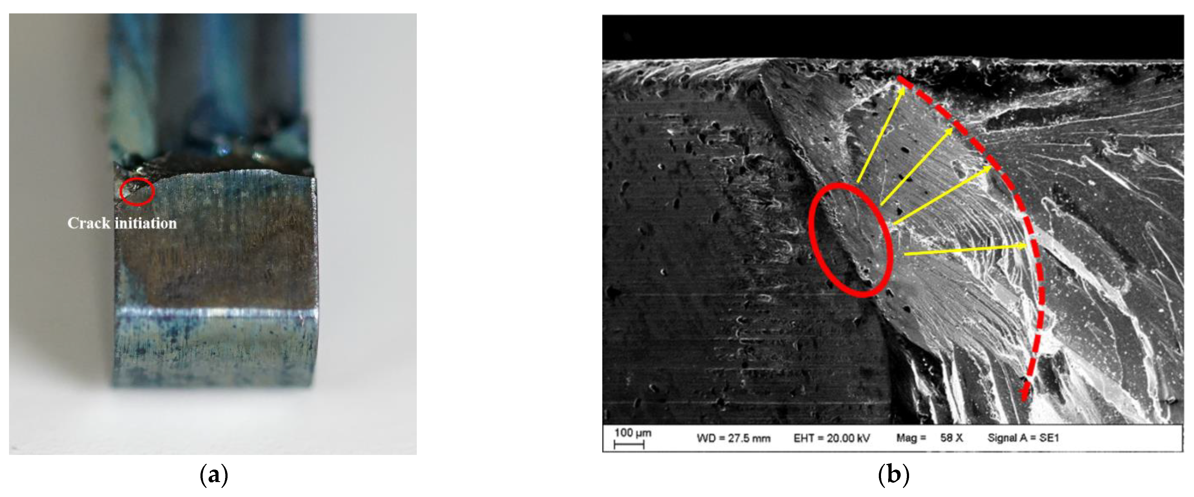 Applsci 11 09913 g010