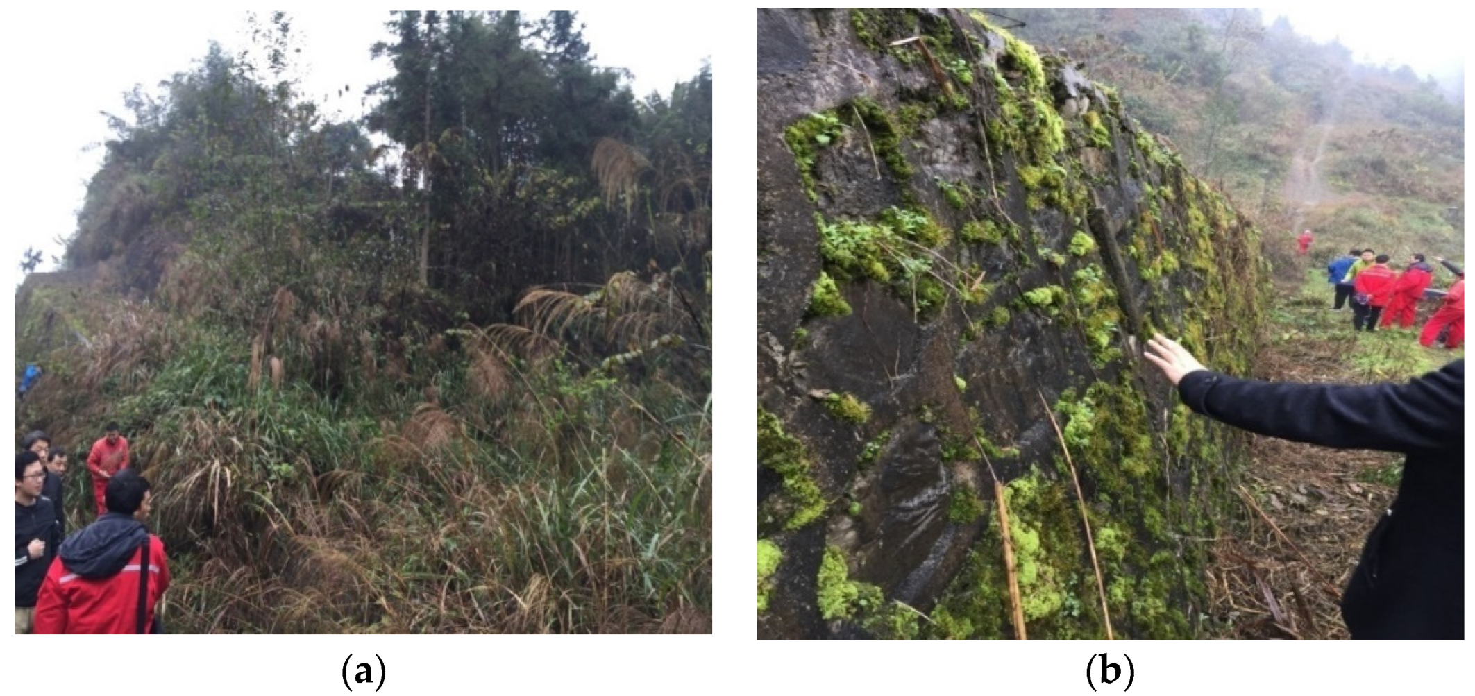 Applsci 11 09919 g004