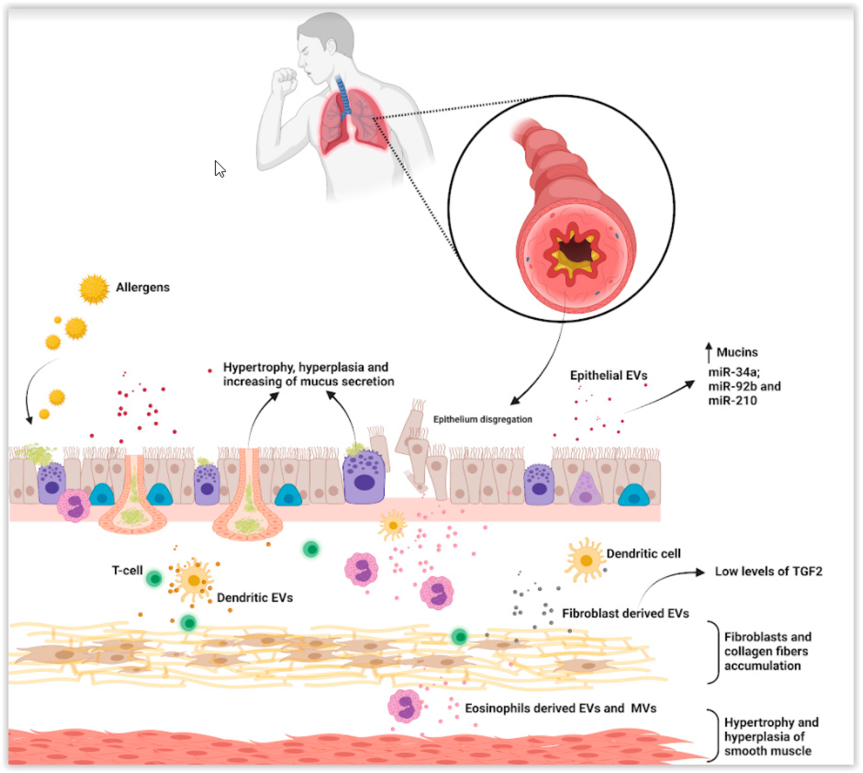 Applsci 11 09933 g001