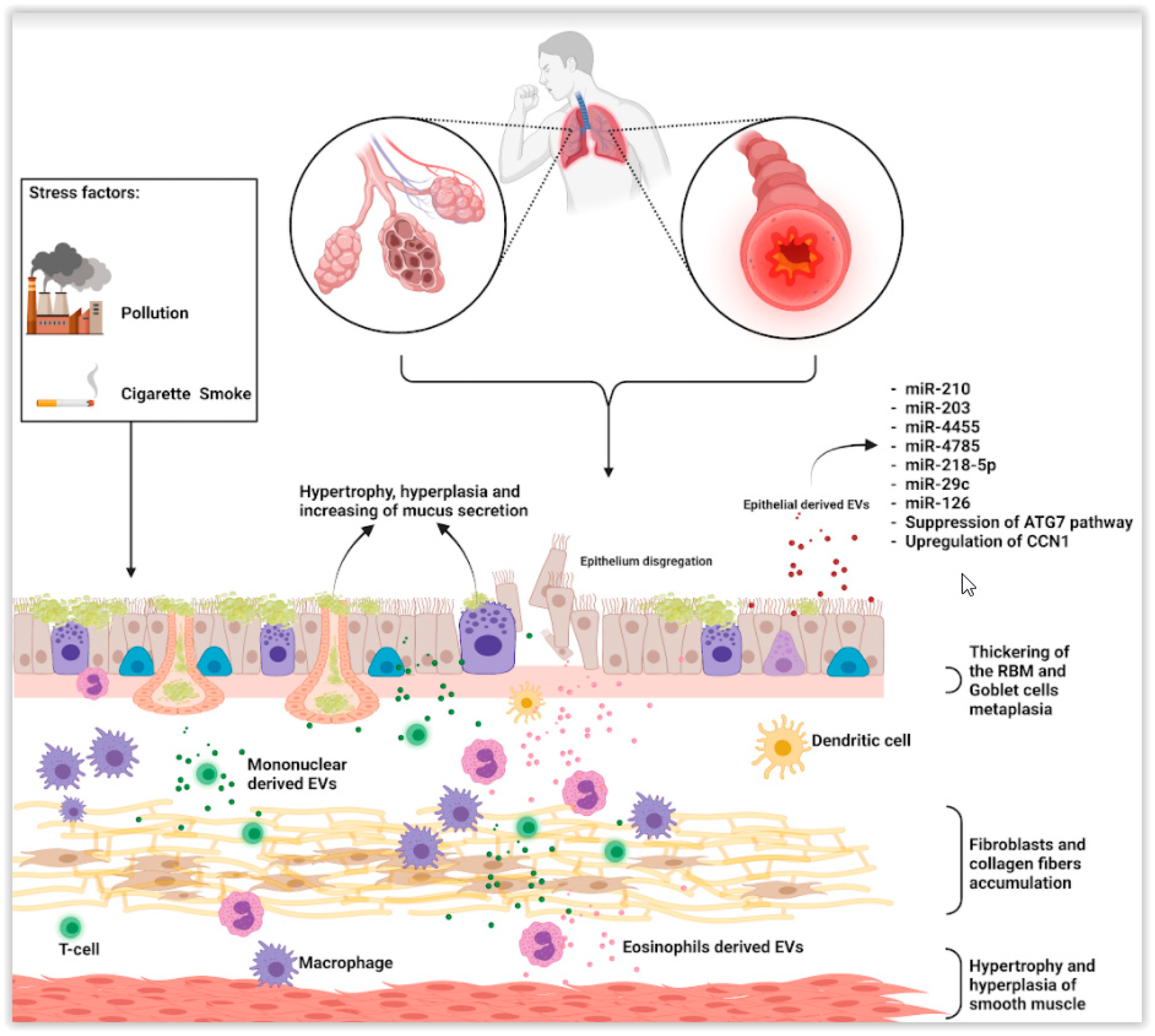 Applsci 11 09933 g002
