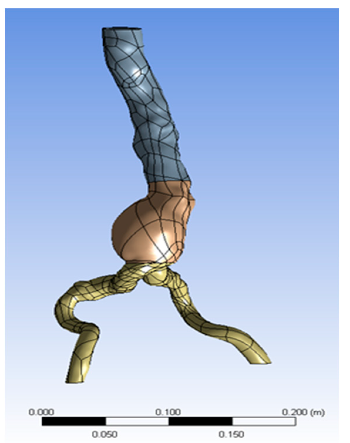 Applsci 11 09941 g001