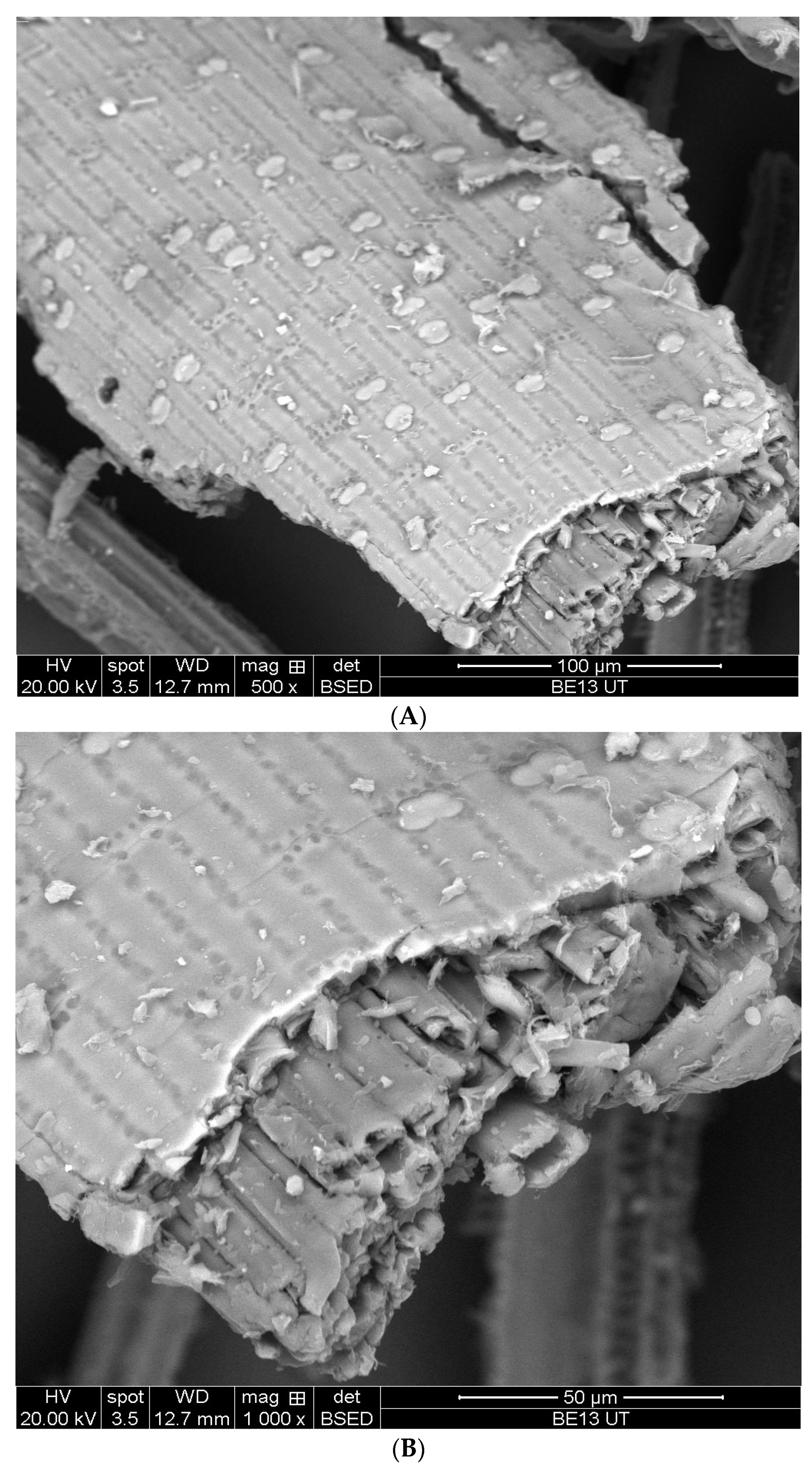 Applsci 11 09949 g003a