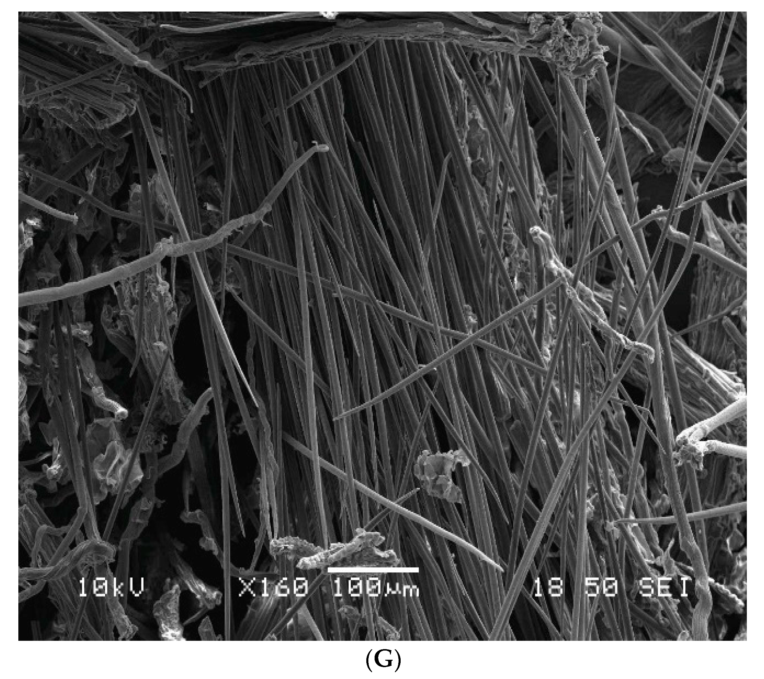 Applsci 11 09949 g003d