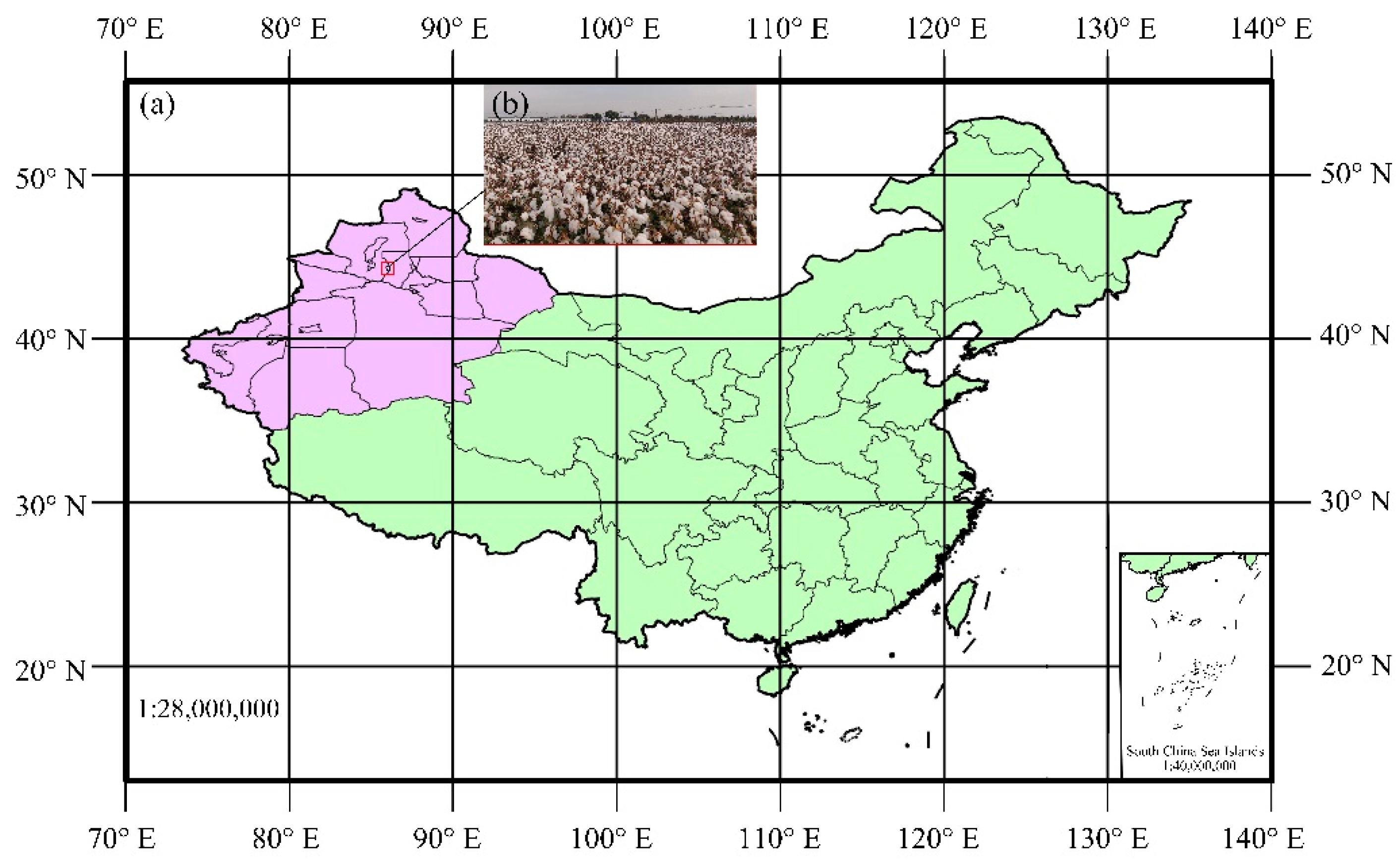 Applsci 11 09959 g001