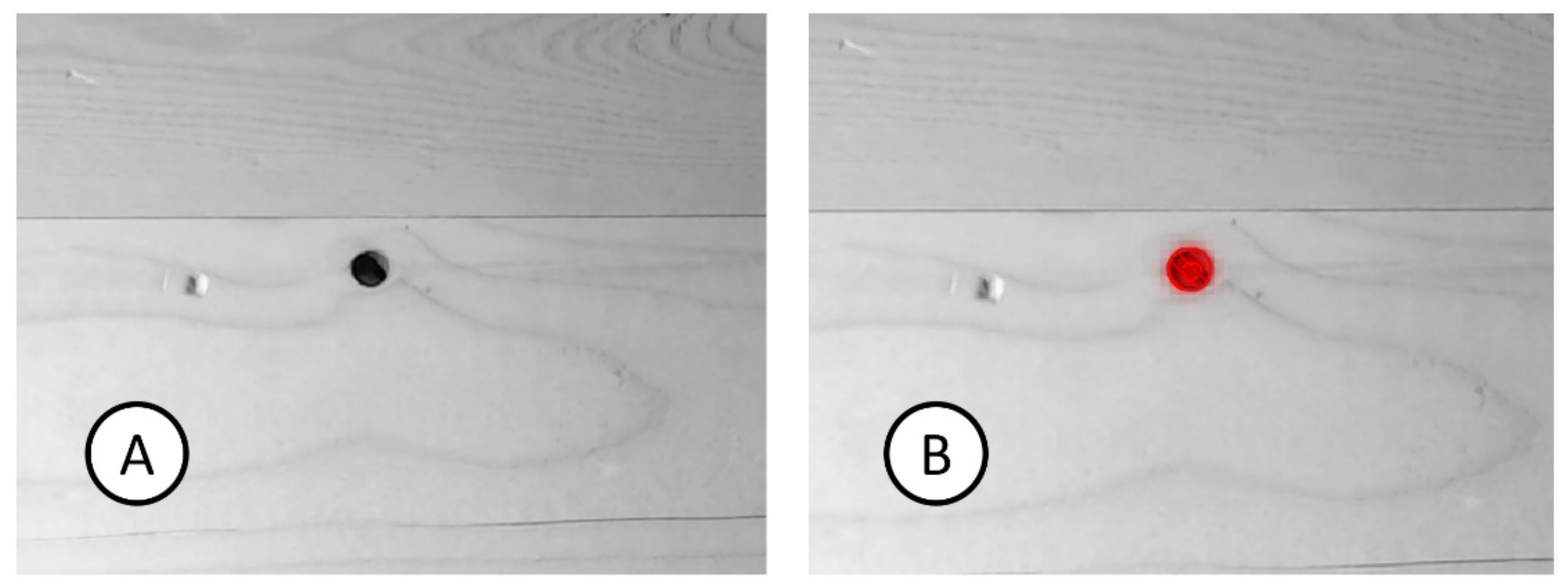 Applsci 11 09965 g010