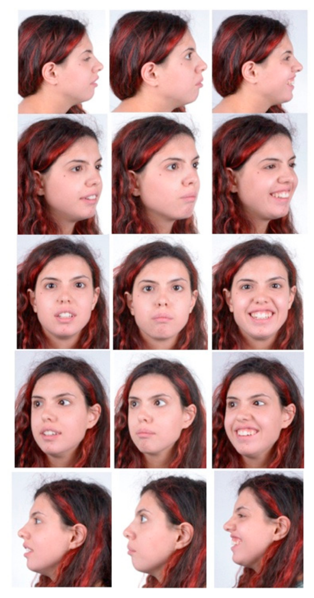 Applsci 11 09985 g001 Applsci 11 09985 g001