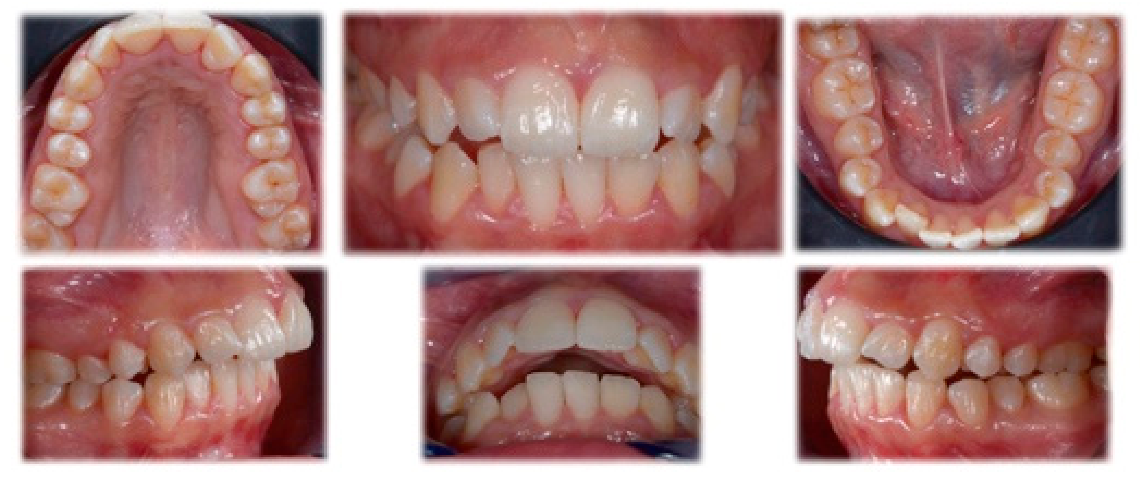 Applsci 11 09985 g002 Applsci 11 09985 g002