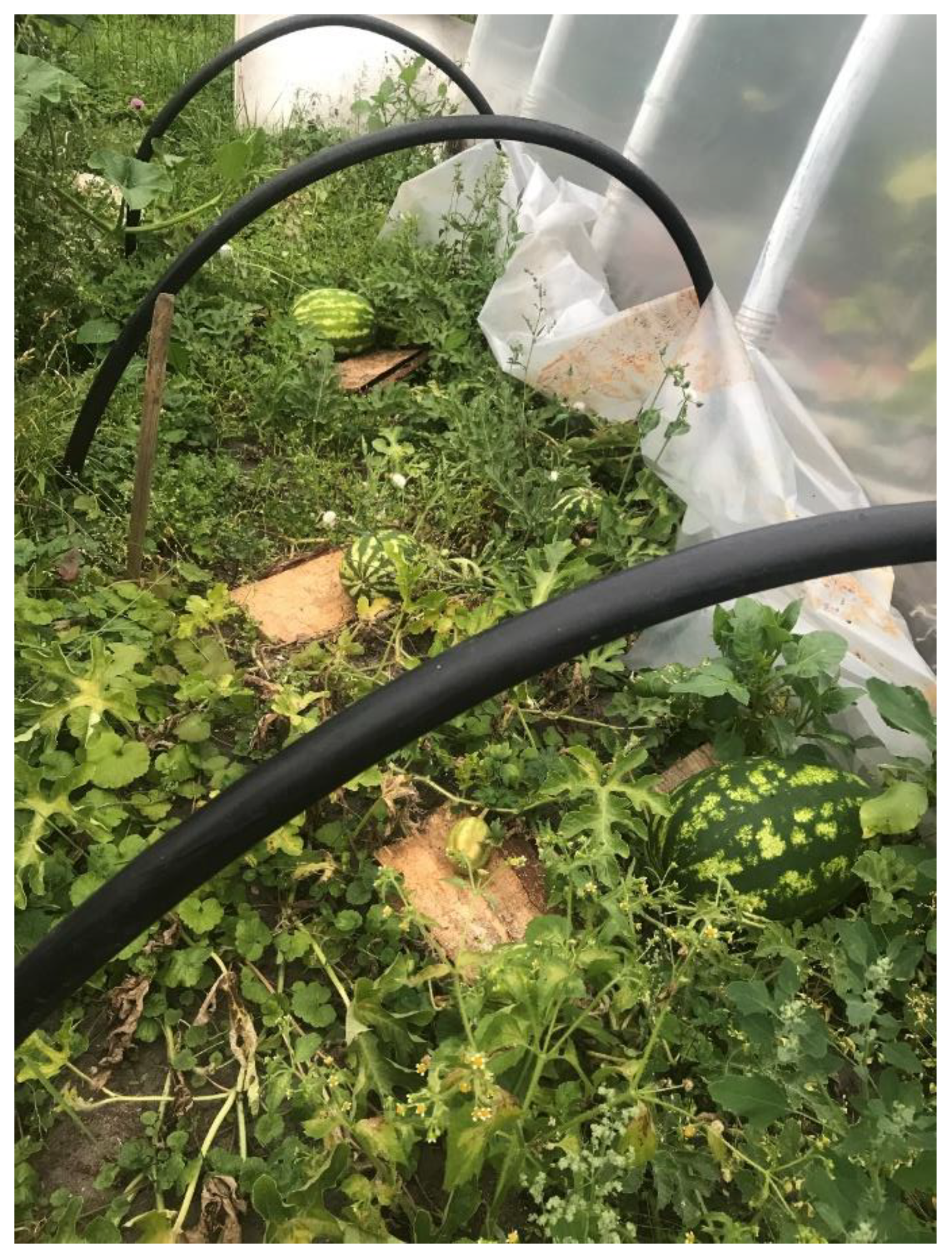 Applsci 11 09988 g006