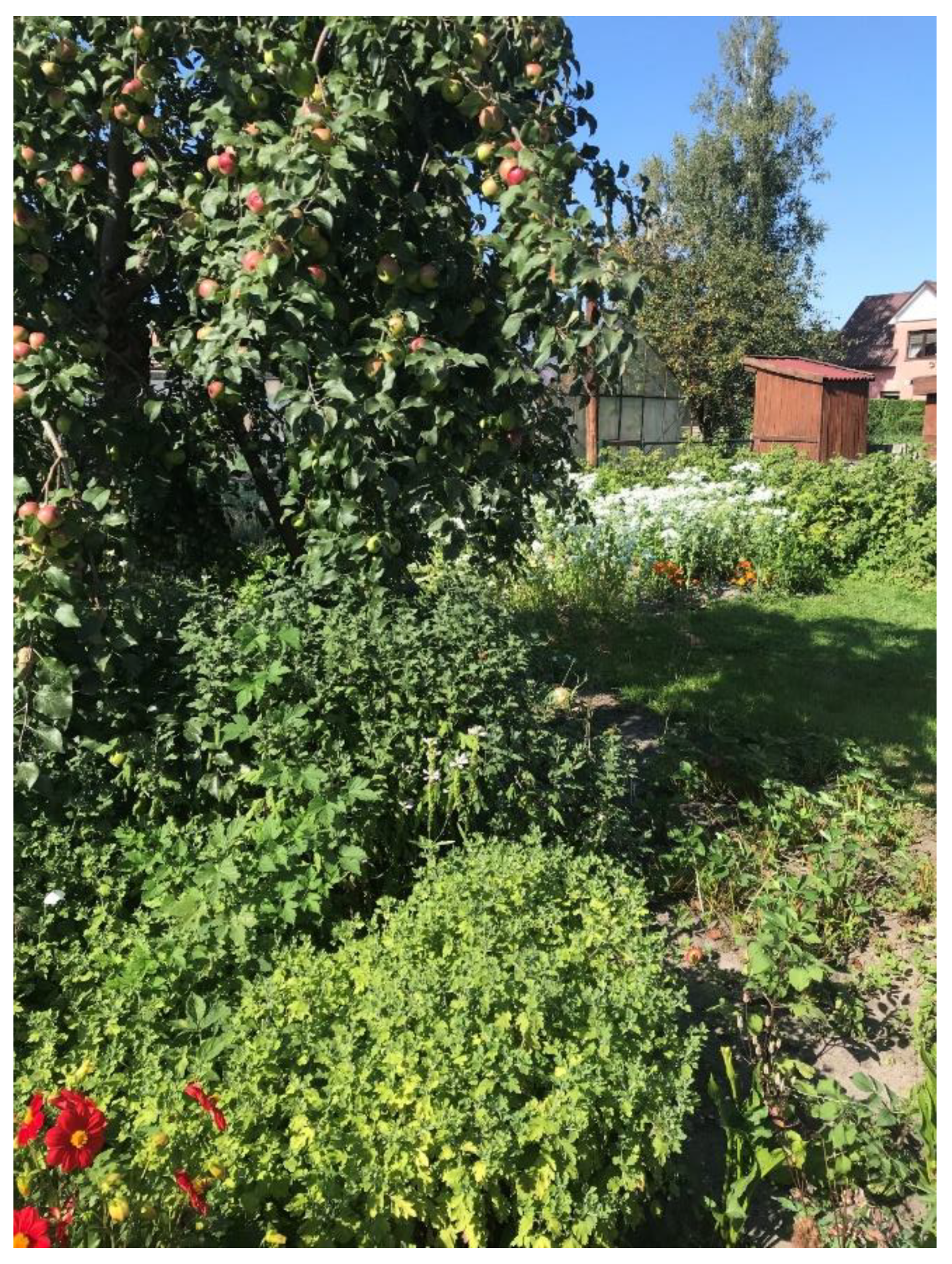 Applsci 11 09988 g007