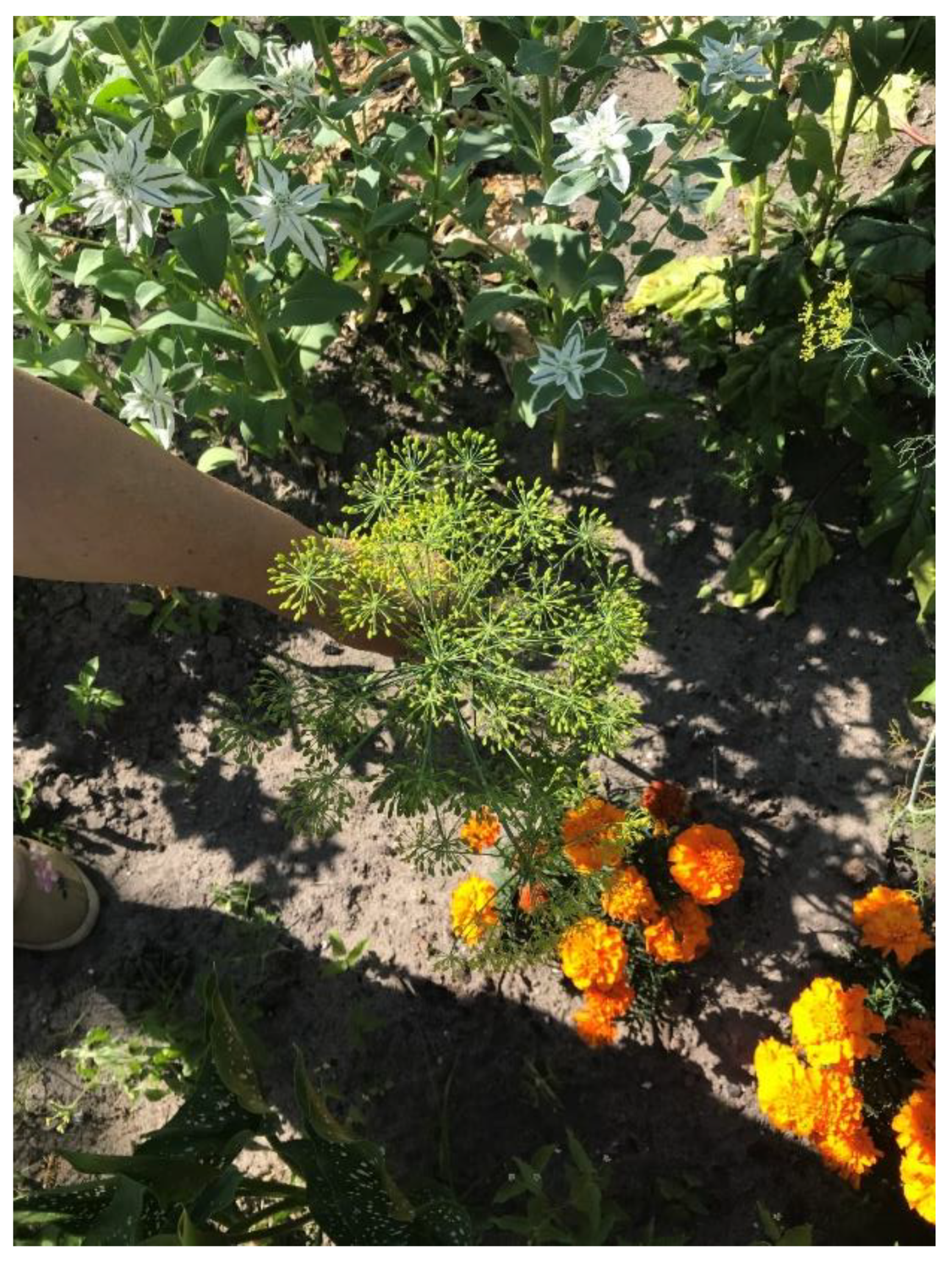 Applsci 11 09988 g008