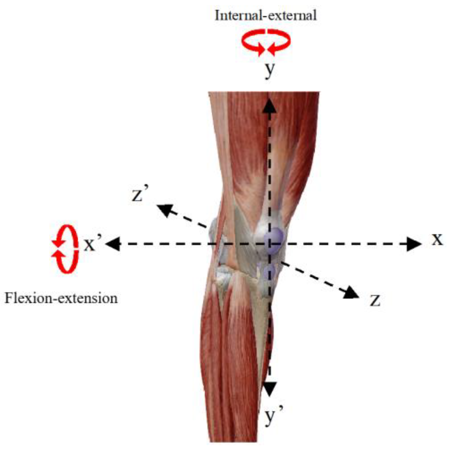 Applsci 11 09990 g001