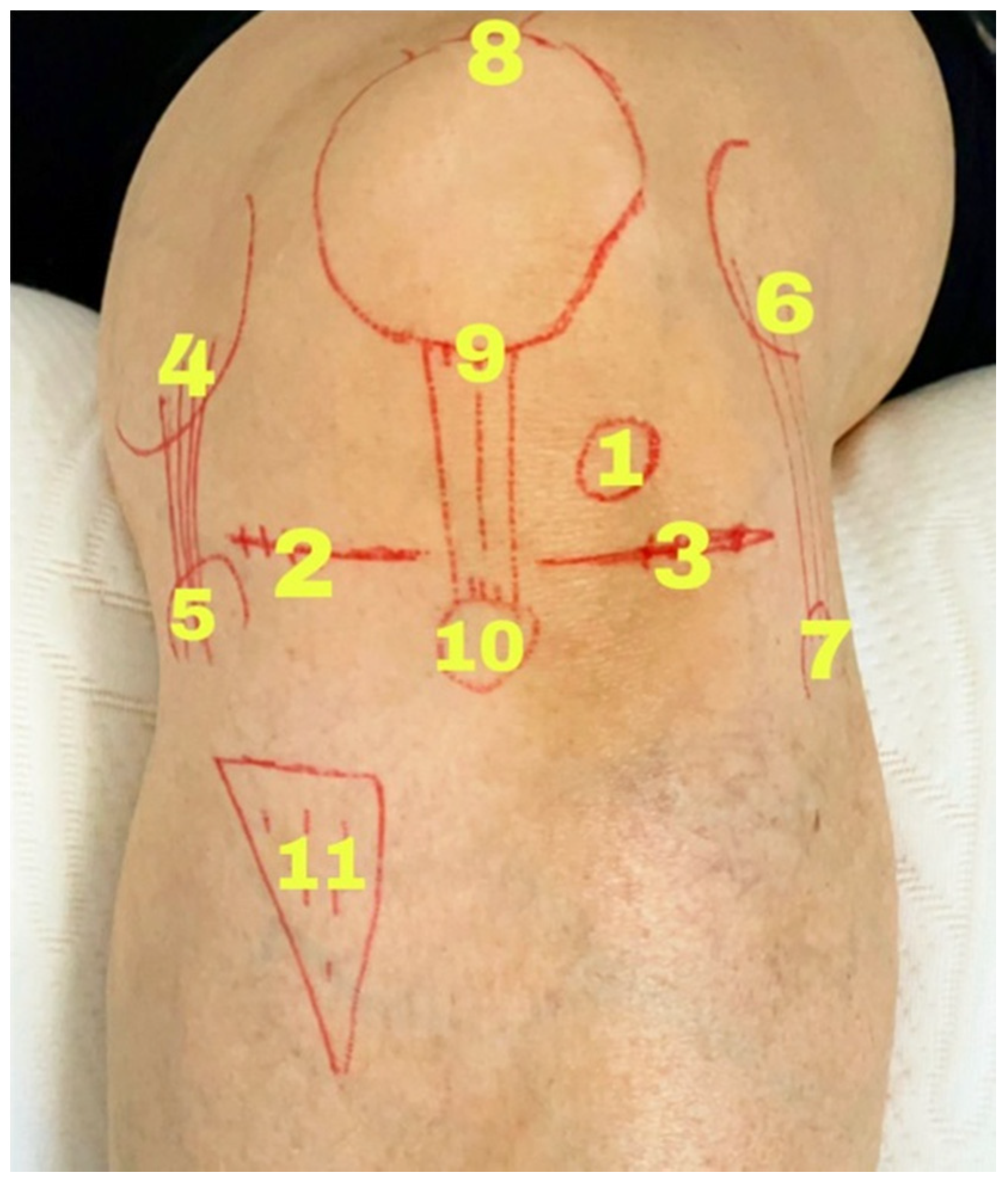 Applsci 11 09991 g002