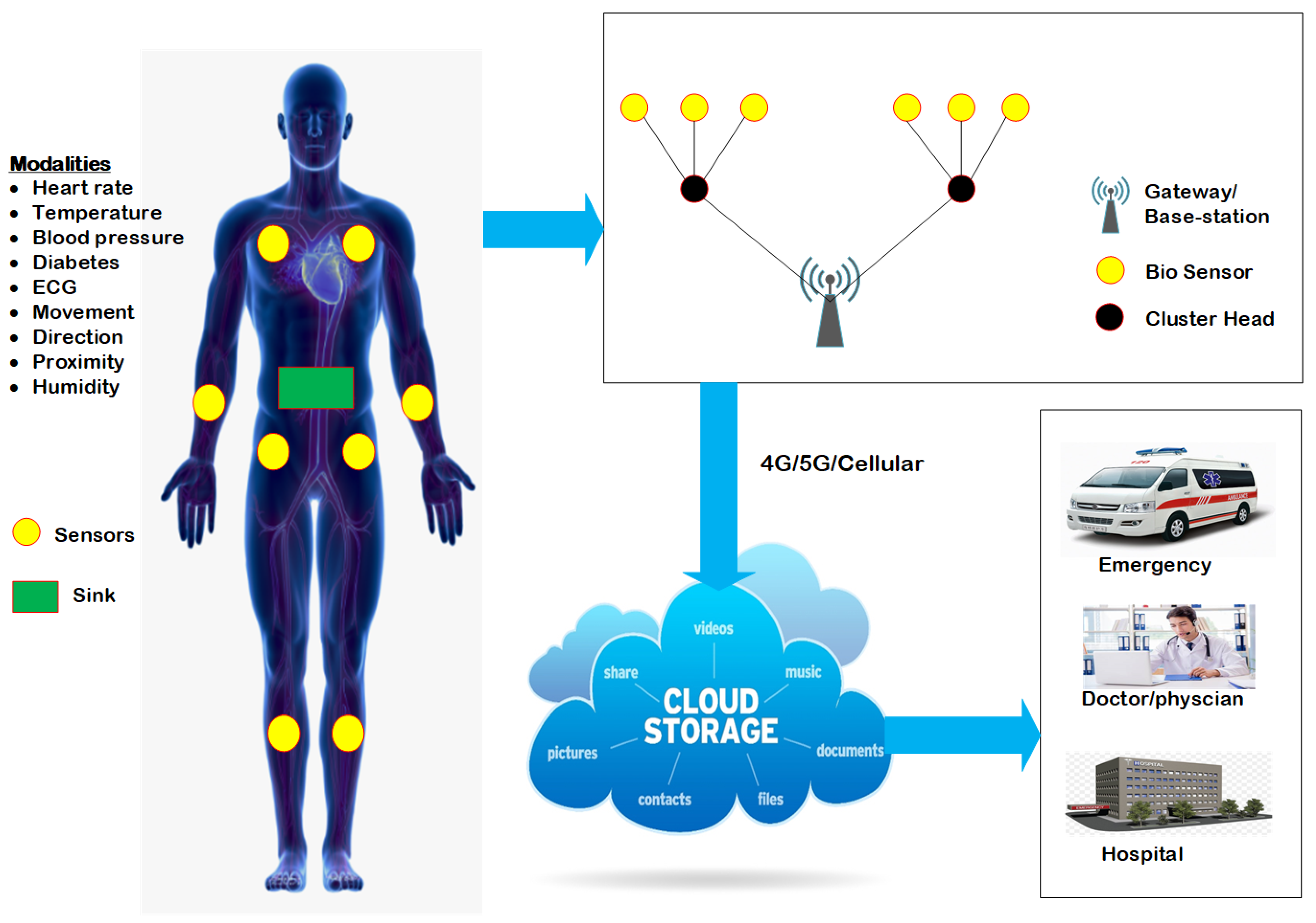 Applsci 11 09993 g001