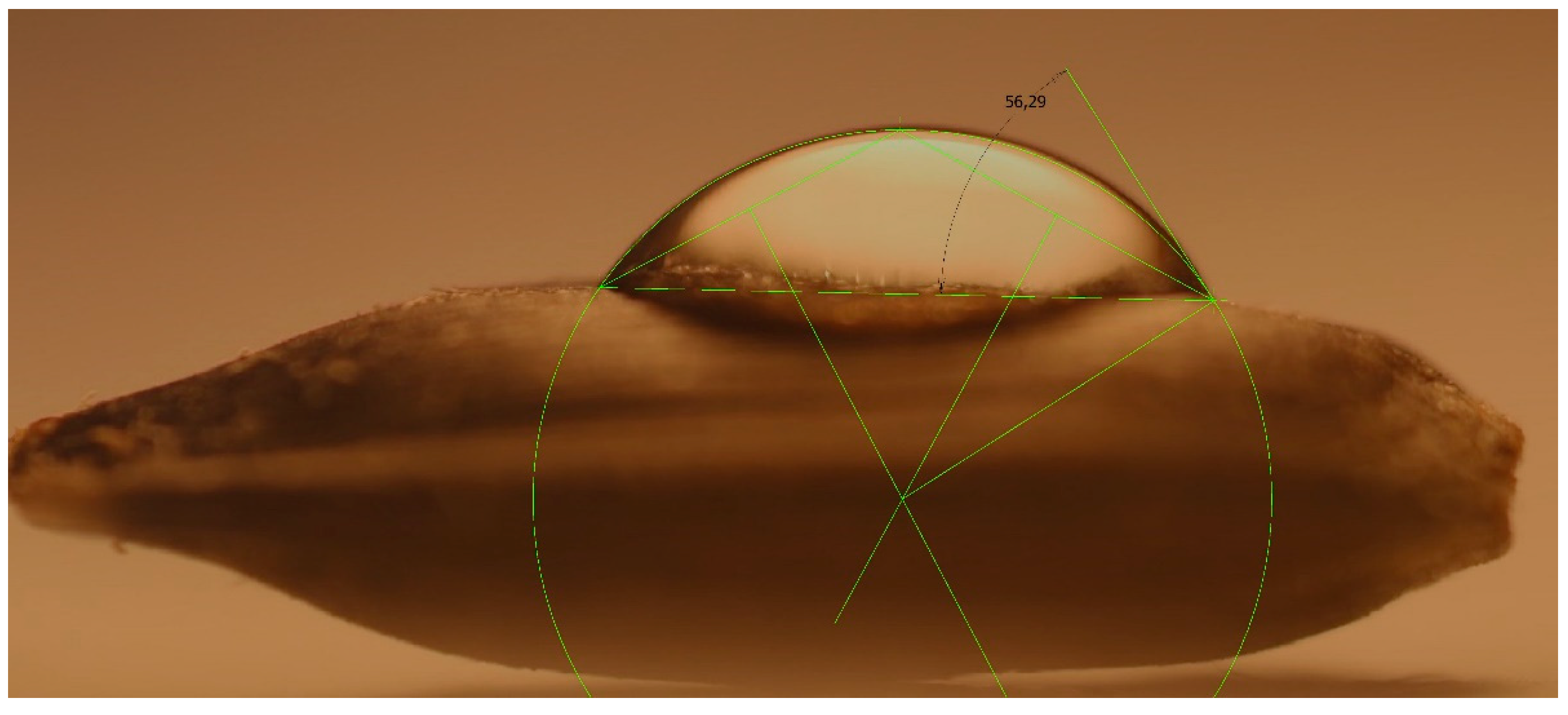 Applsci 11 09994 g001